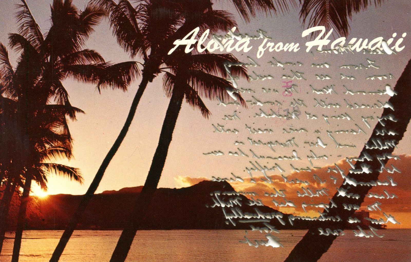 © Leah Schretenthaler - Image from the Aloha From Hawaii photography project