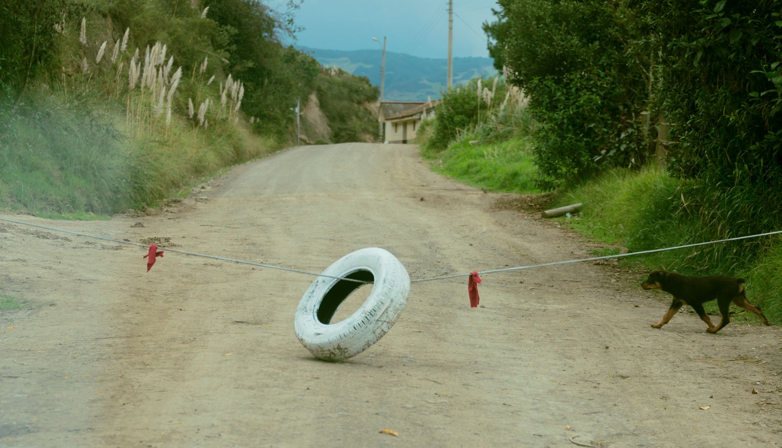 © iLa Coronel - Image from the Diary of a pandemic (sarar community) photography project