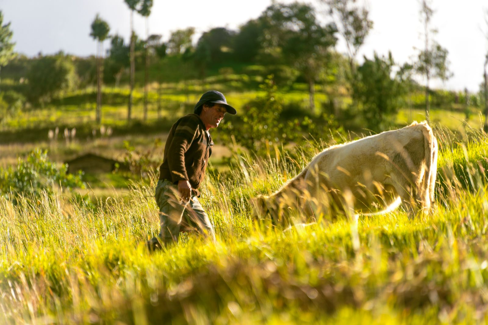 © Ila Coronel - Image from the Diary of a pandemic (sarar community) photography project