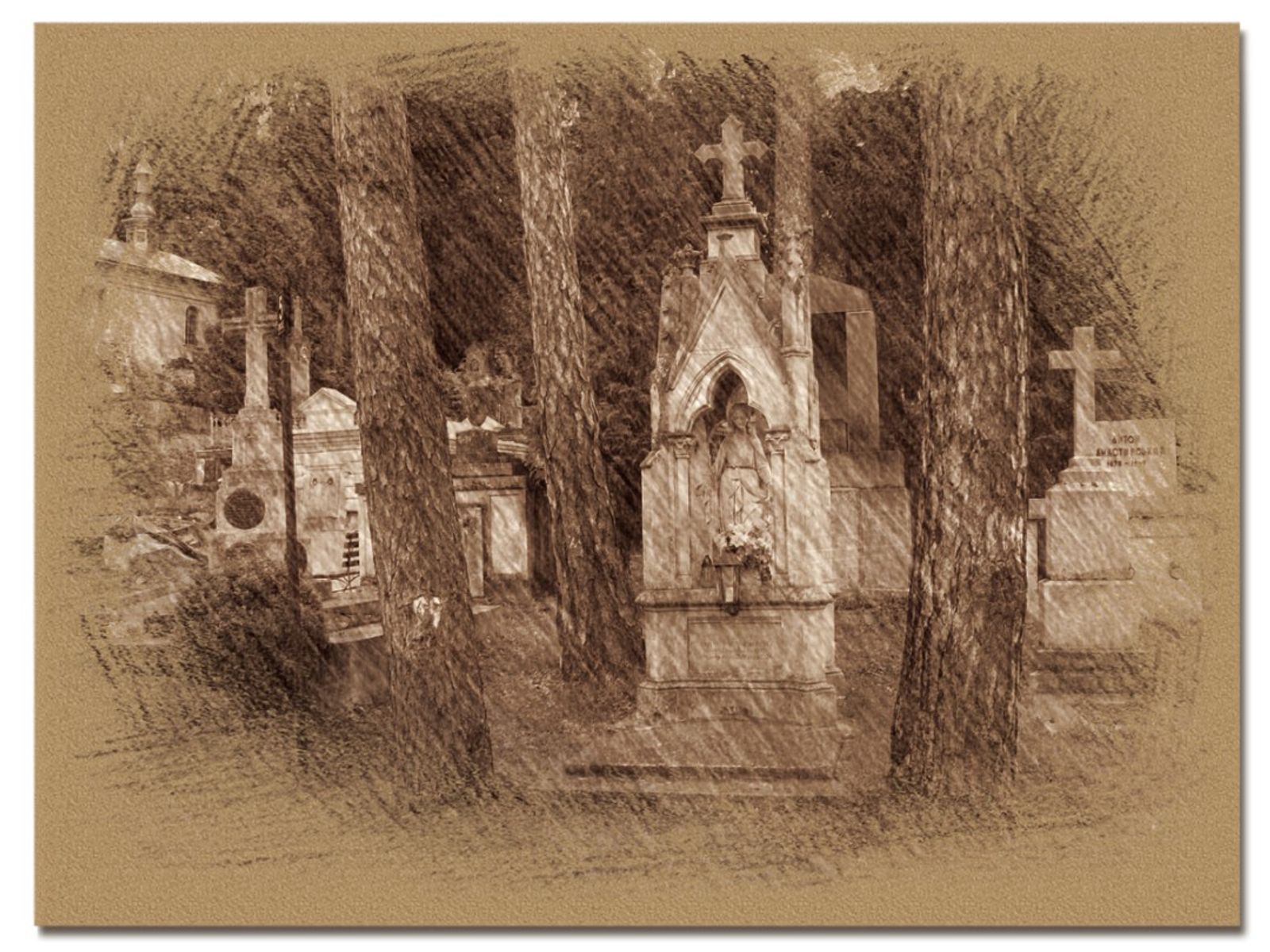 © Andrei  Kolyaskin - On  the  Lychakivske  cemetery  of  Lviv  City , Ukraine .