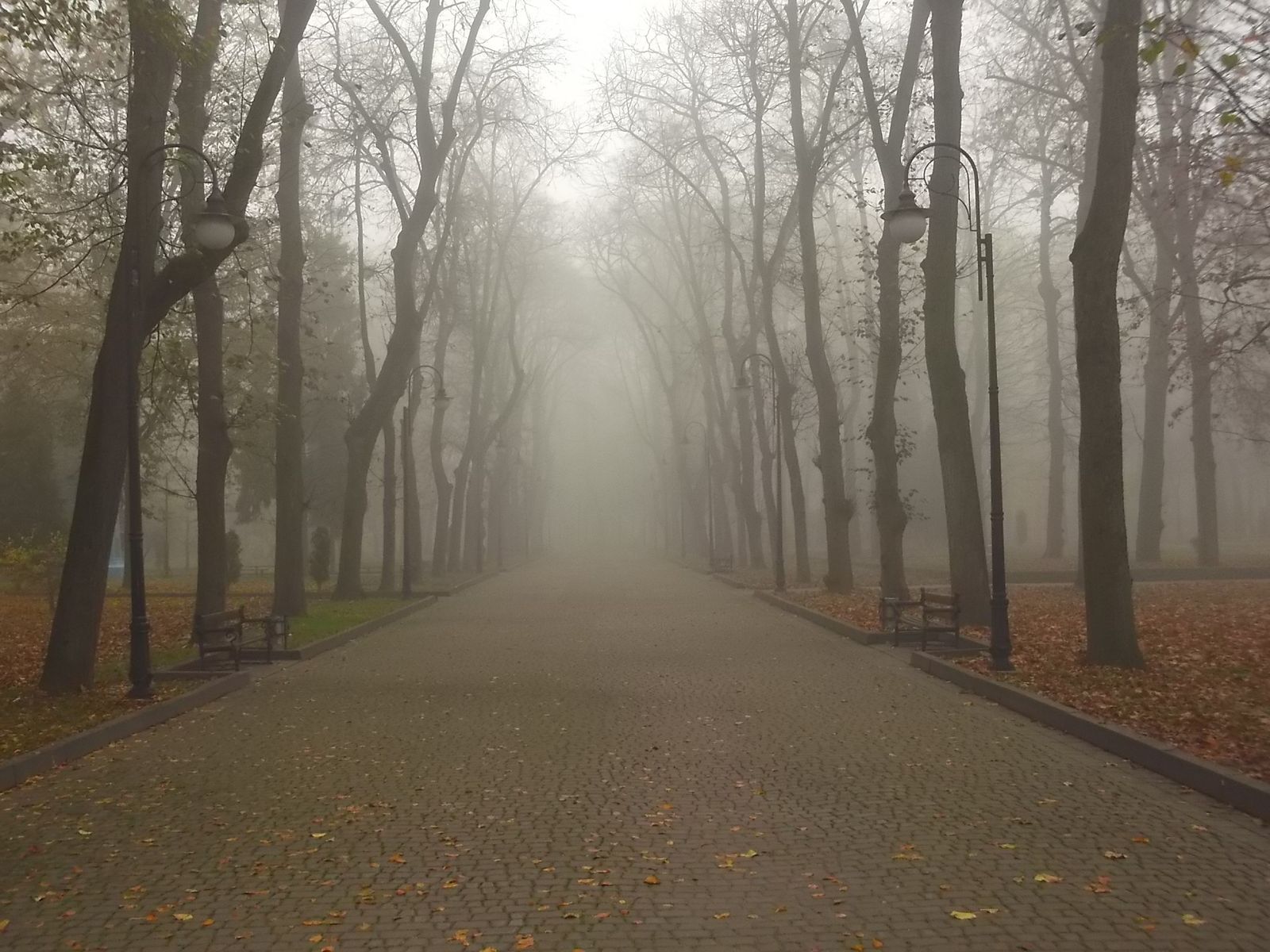 © Andrei  Kolyaskin - Foggy  autumn  morning  on  the  central  park  of  Ivano - Frankivsk  City , Ukraine .