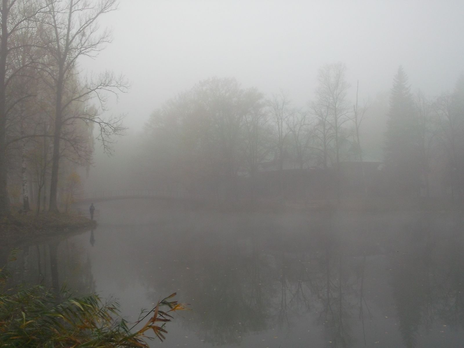 © Andrei  Kolyaskin - Foggy  autumn  morning  on  the  central  park  of  Ivano - Frankivsk  City , Ukraine .