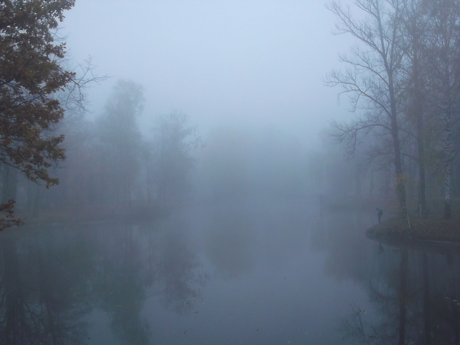 © Andrei  Kolyaskin - Foggy  autumn  morning  on  the  central  park  of  Ivano - Frankivsk  City , Ukraine .