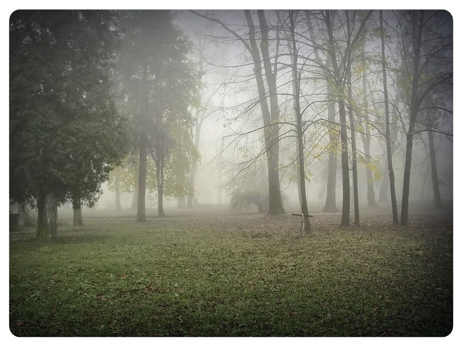 © Andrei  Kolyaskin - Foggy  morning  in  Memorial  Square  of  Ivano - Frankivsk  City , Ukraine .