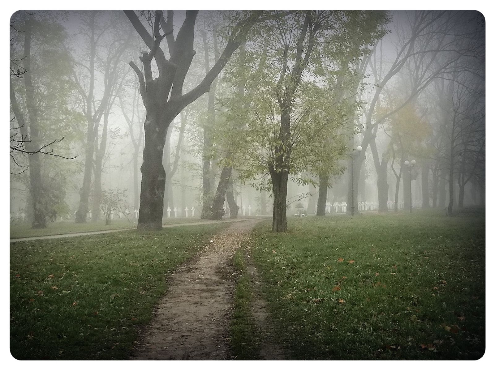 © Andrei  Kolyaskin - Foggy  morning  in  Memorial  Square  of  Ivano - Frankivsk  City , Ukraine .