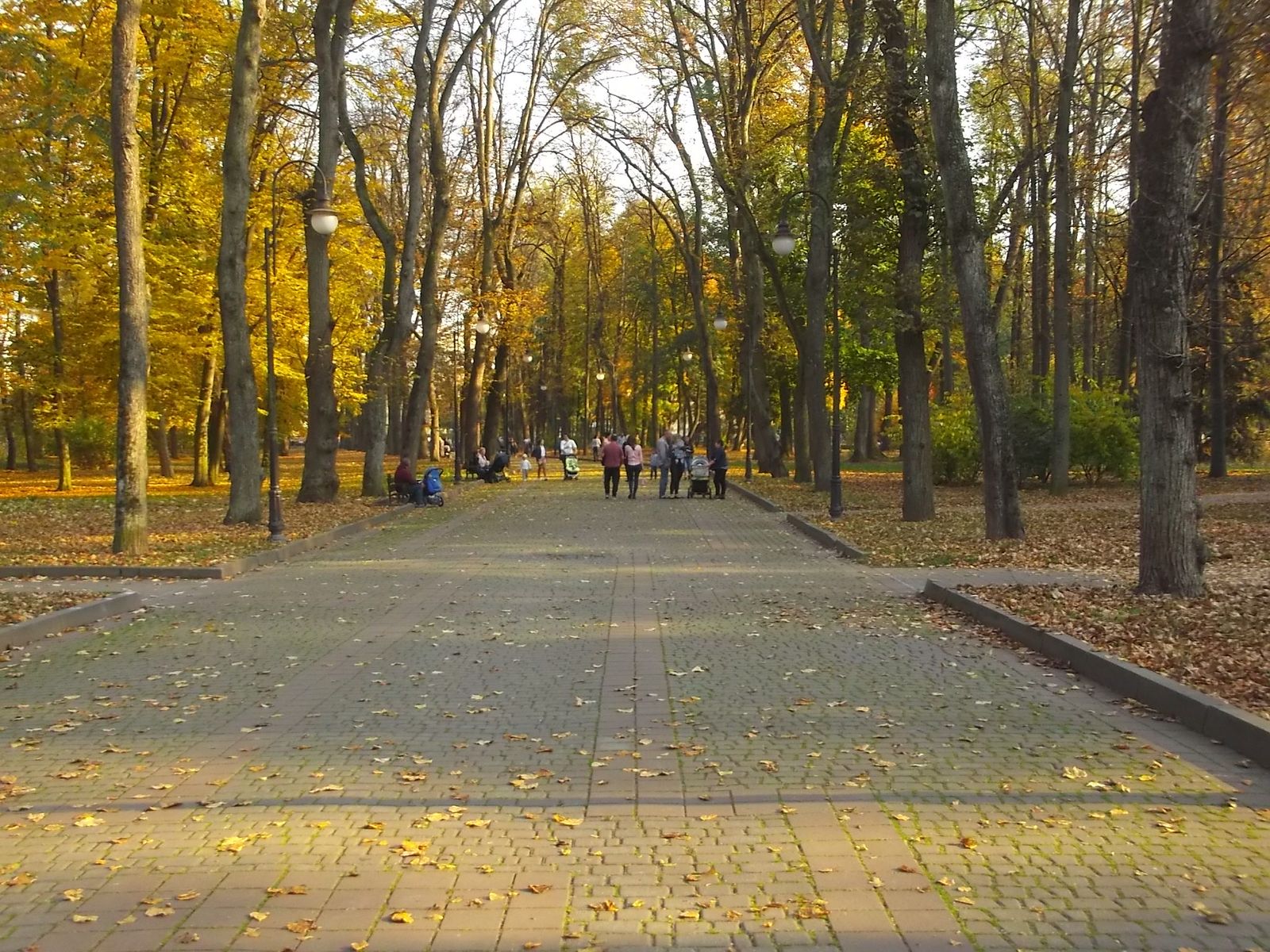 © Andrei  Kolyaskin - Autumn  in  Ivano - Frankivsk  City ,  Ukraine .