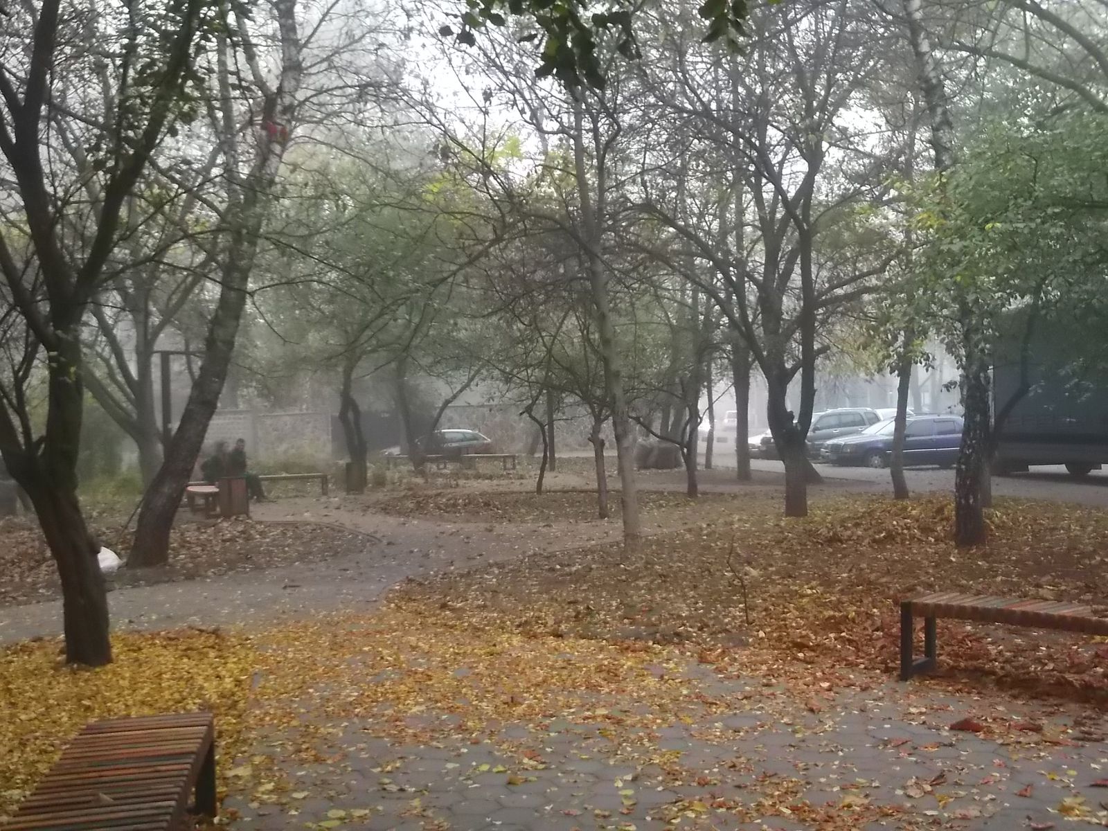 © Andrei  Kolyaskin - Autumn  in  Ivano - Frankivsk  City ,  Ukraine .