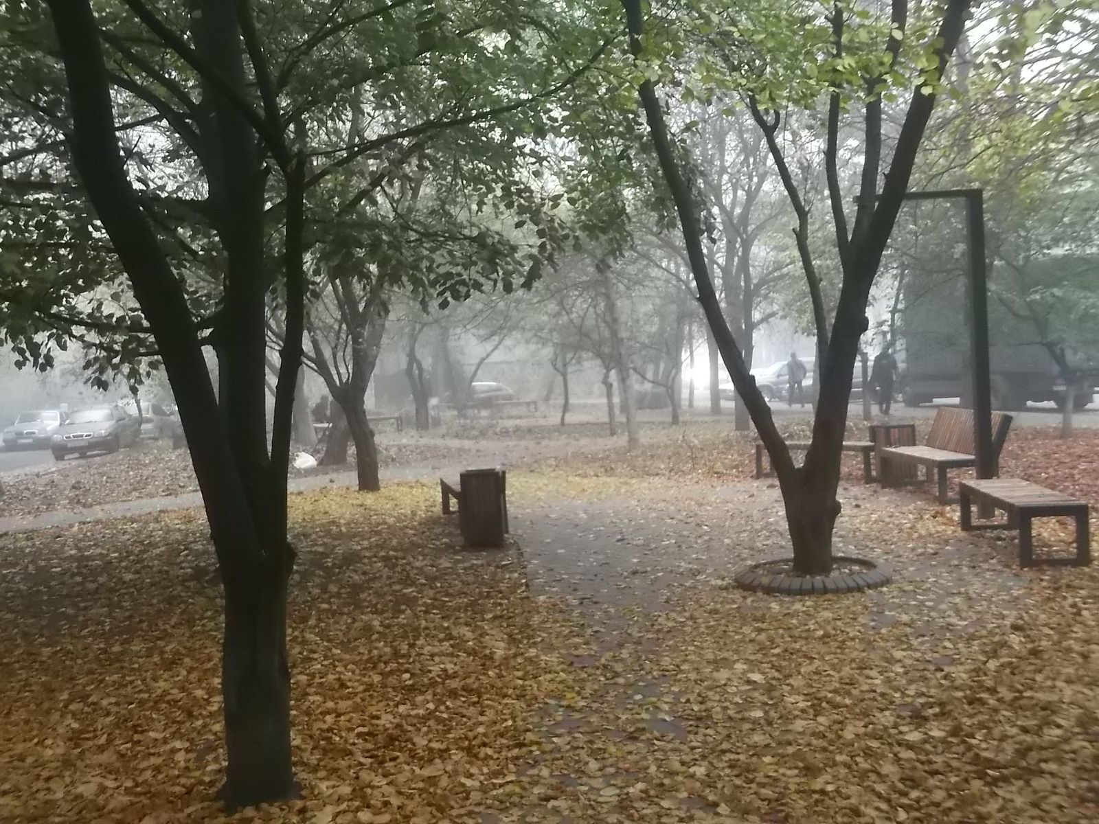 © Andrei  Kolyaskin - Autumn  in  Ivano - Frankivsk  City ,  Ukraine .