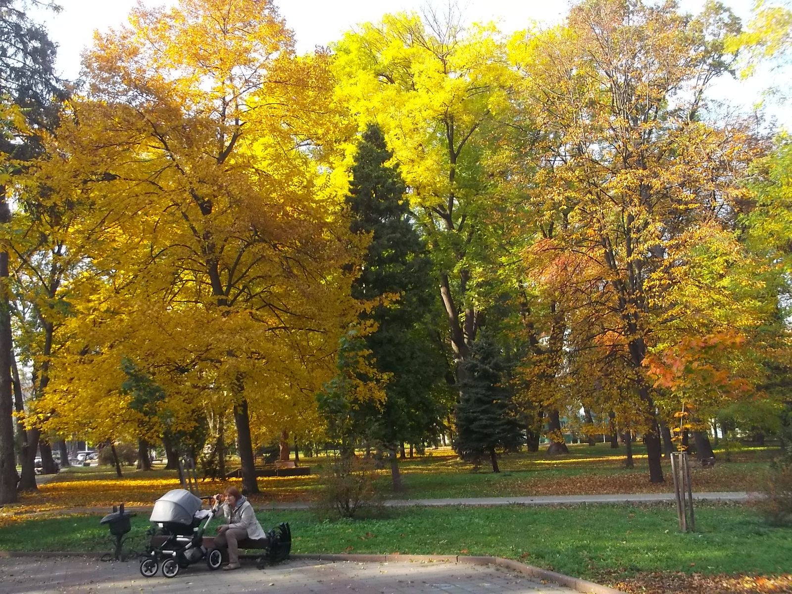 © Andrei  Kolyaskin - Autumn  in  Ivano - Frankivsk  City , Ukraine .