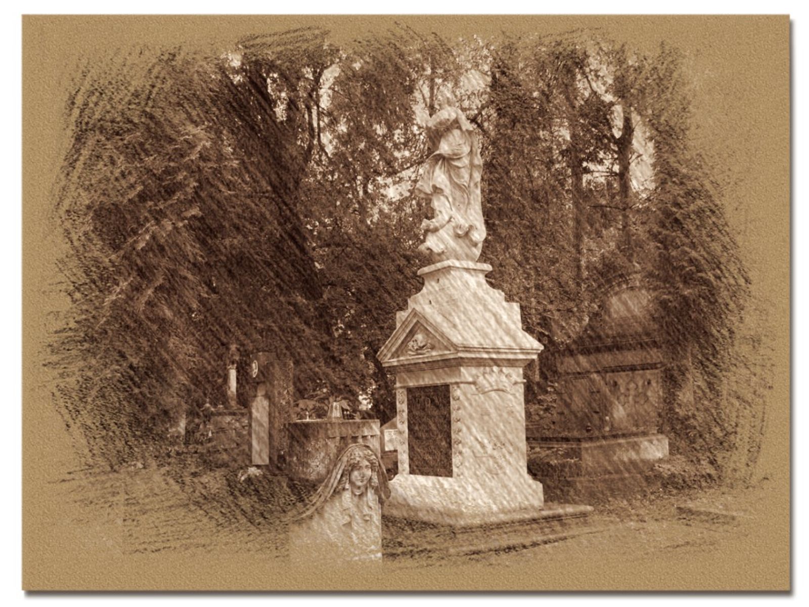 © Andrei  Kolyaskin - On  the  Lychakivske  cemetery  of   Lviv  City , Ukraine .