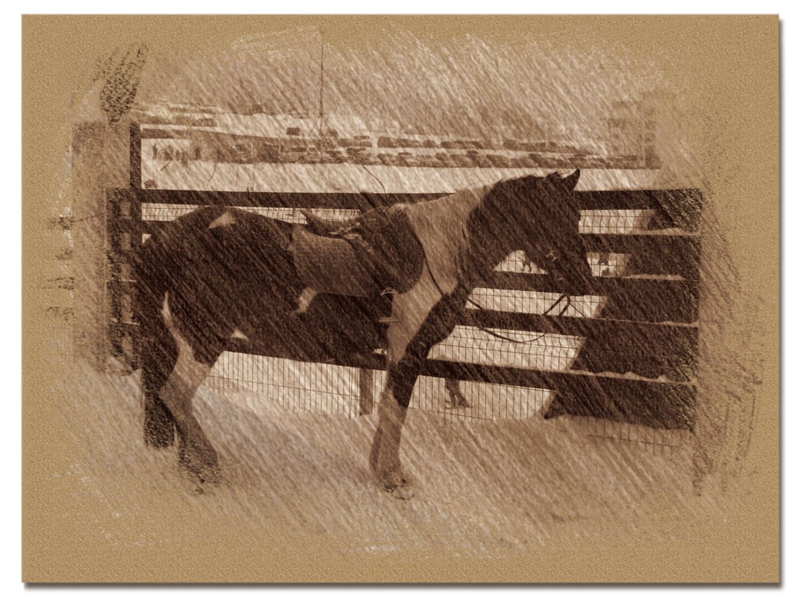 © Andrei  Kolyaskin - Image from the Bukovel  in  trois  coleur  drawing  3 photography project