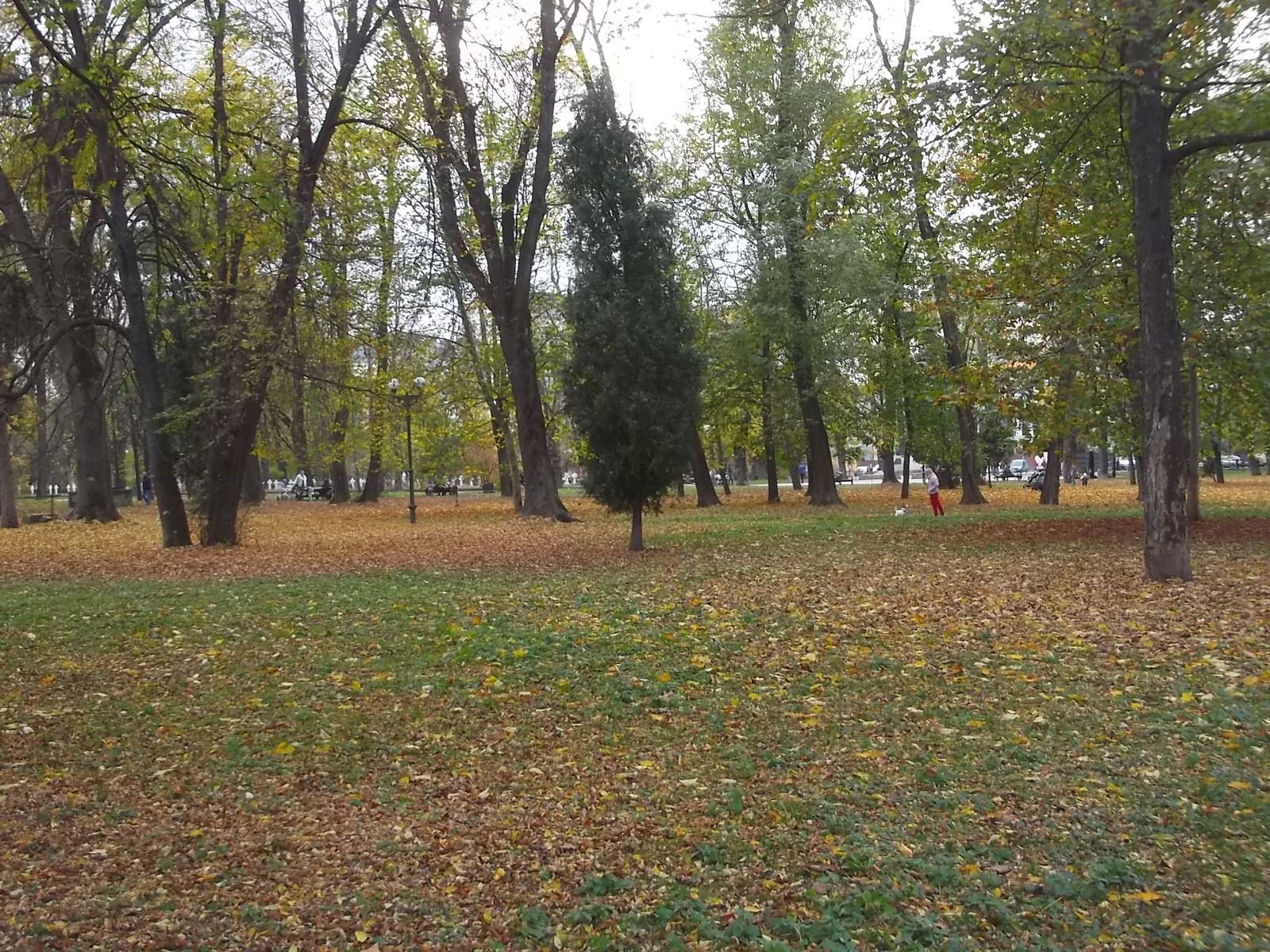 © Andrei  Kolyaskin - Autumn on the  Memorial  Square of Ivano - Frankivsk City , Ukraine .