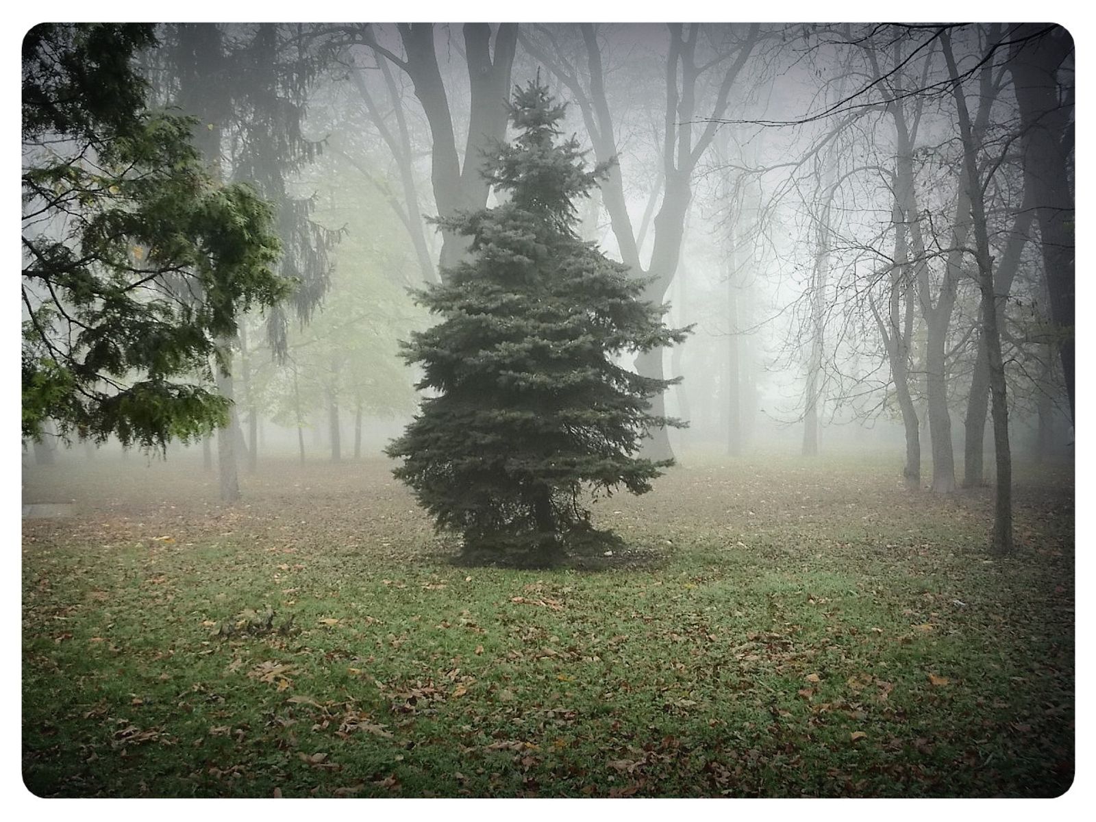 © Andrei  Kolyaskin - Foggy  autumn  morning  on  the  Memorial  Square  of  Ivano - Frankivsk  City , Ukraine .