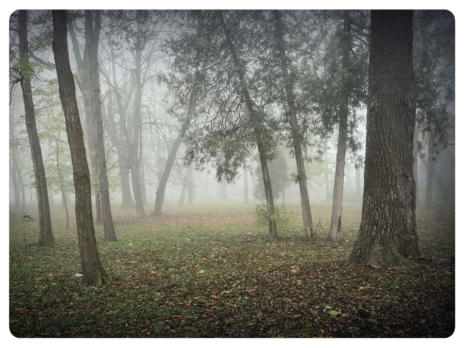 © Andrei  Kolyaskin - Foggy  autumn  morning  on  the  Memorial  Square  of  Ivano - Frankivsk  City , Ukraine .