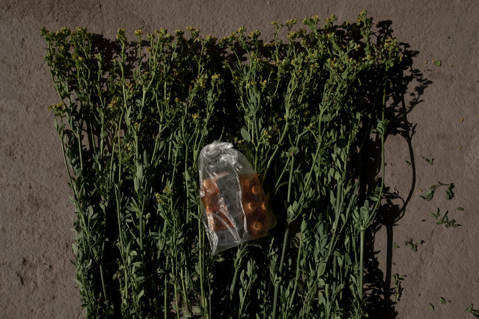 © Florence Goupil - Image from the Shipibo-Konibo: an indigenous community resists with medicinal plants against the COVID-19 virus photography project