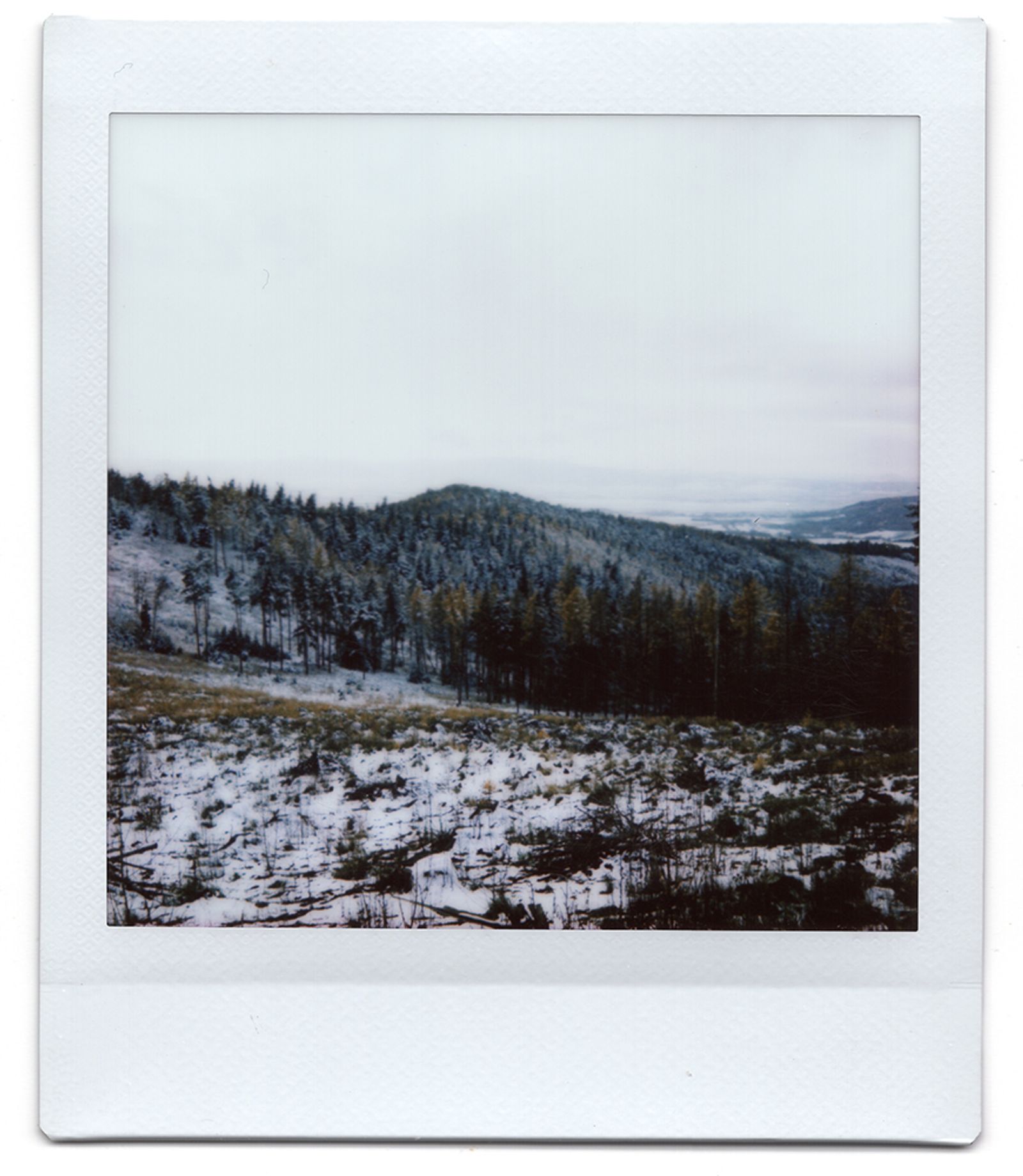 © Dominika Muszynska - Image from the Bogdan photography project