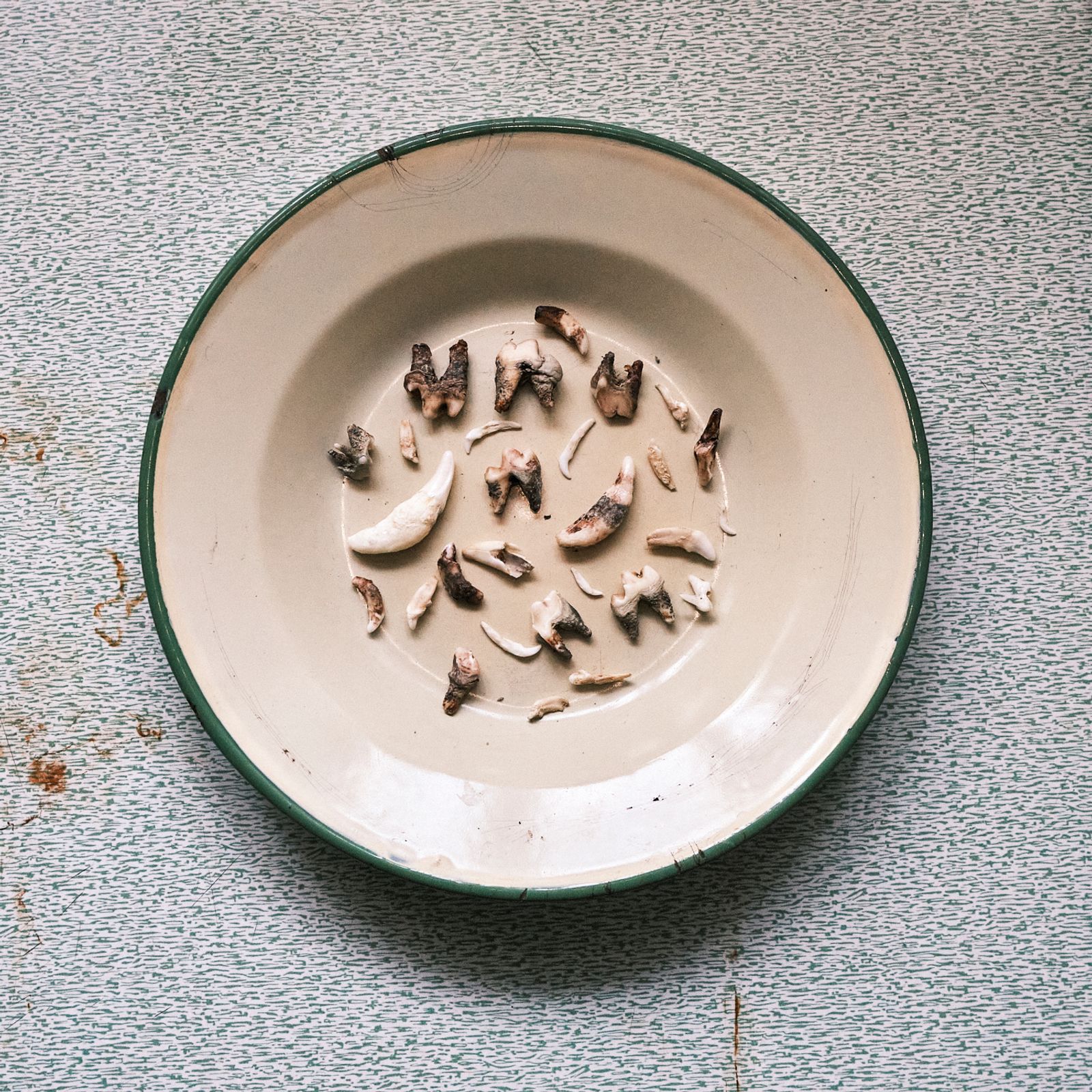 © Dominika Muszynska - Image from the Bogdan photography project