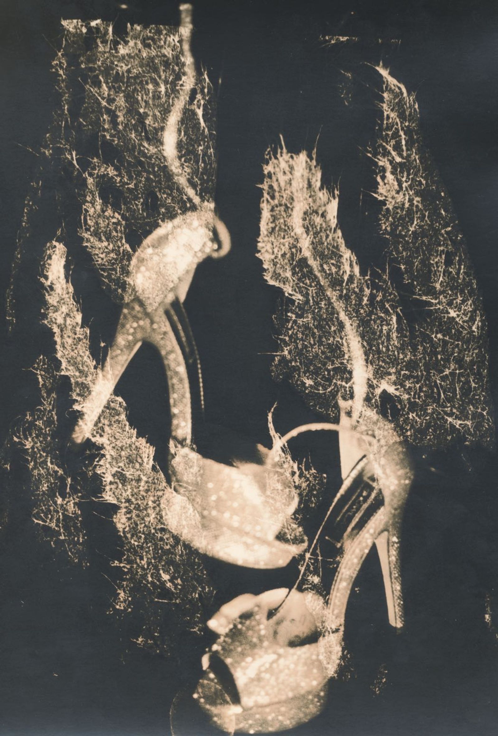 © Jo Stapleton - Impossible shoes with tissue paper wings (Lith print with tissue paper distressed neg)