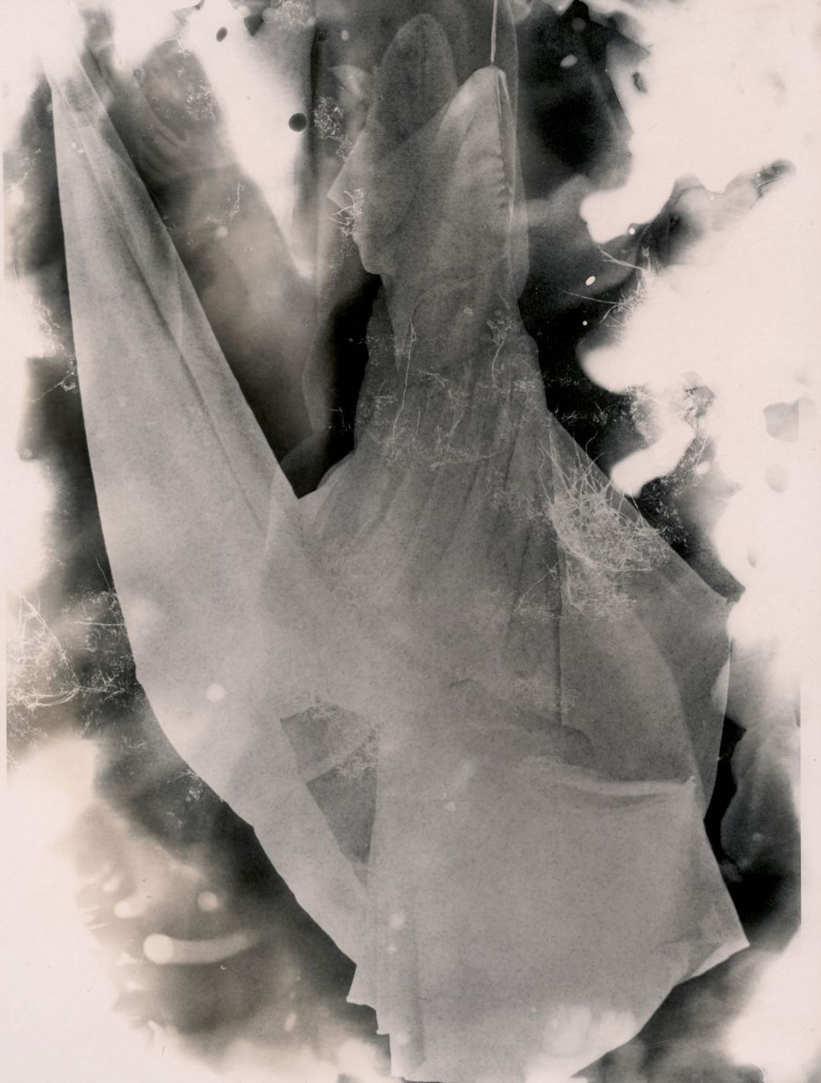 © Jo Stapleton - Ghost dress (B&W Chemigram print)