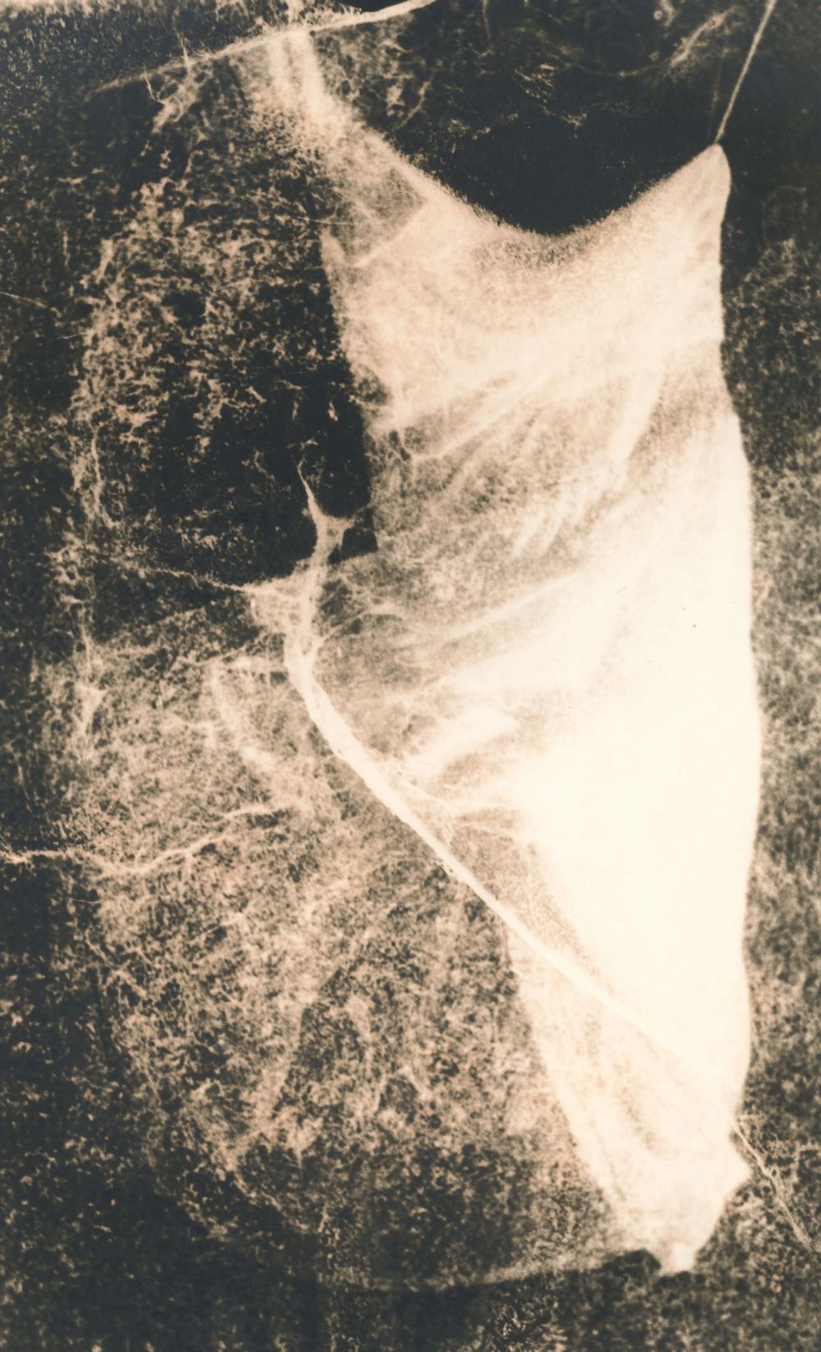© Jo Stapleton - Imposter dress suspended with fishing wire and tissue paper photogram (Lith print)