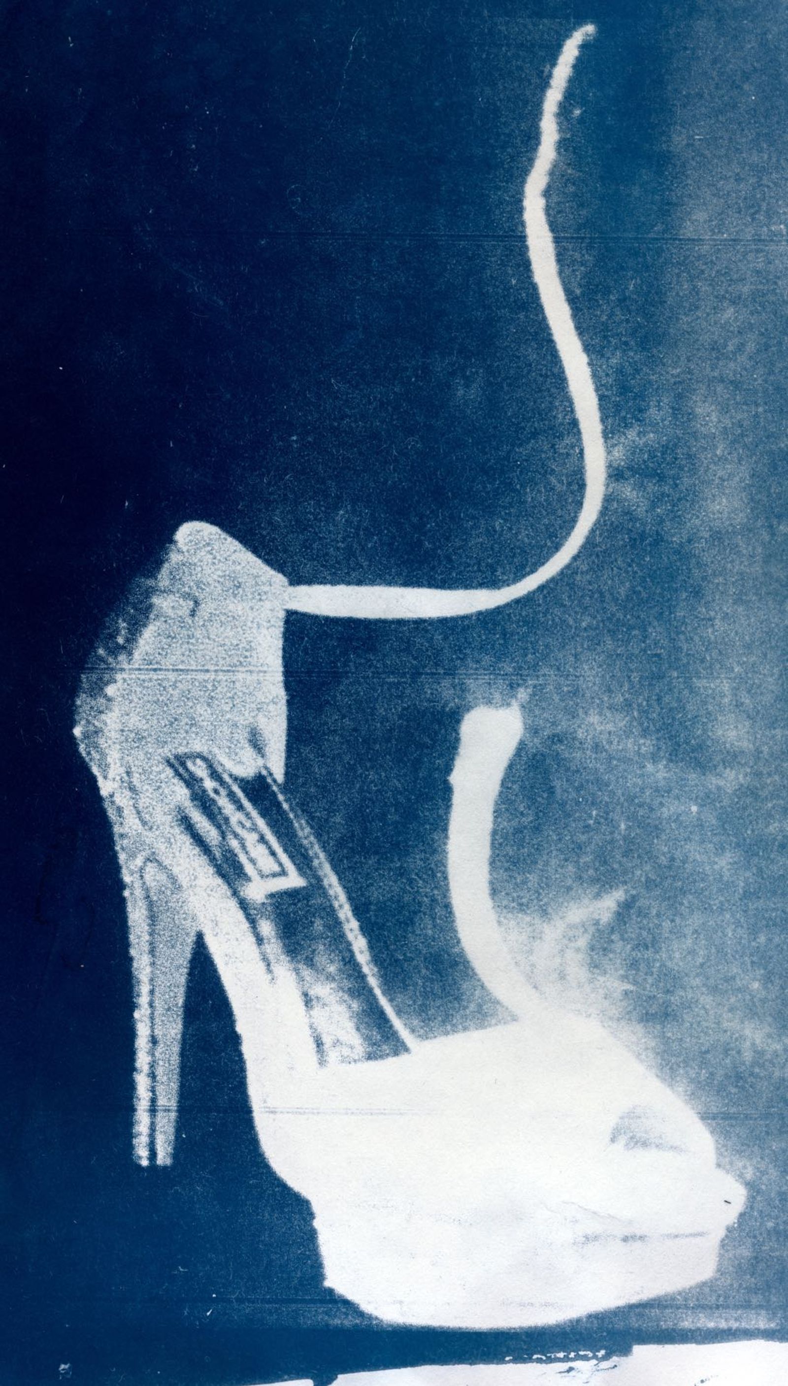© Jo Stapleton - Impossible shoe (Cyanotype)