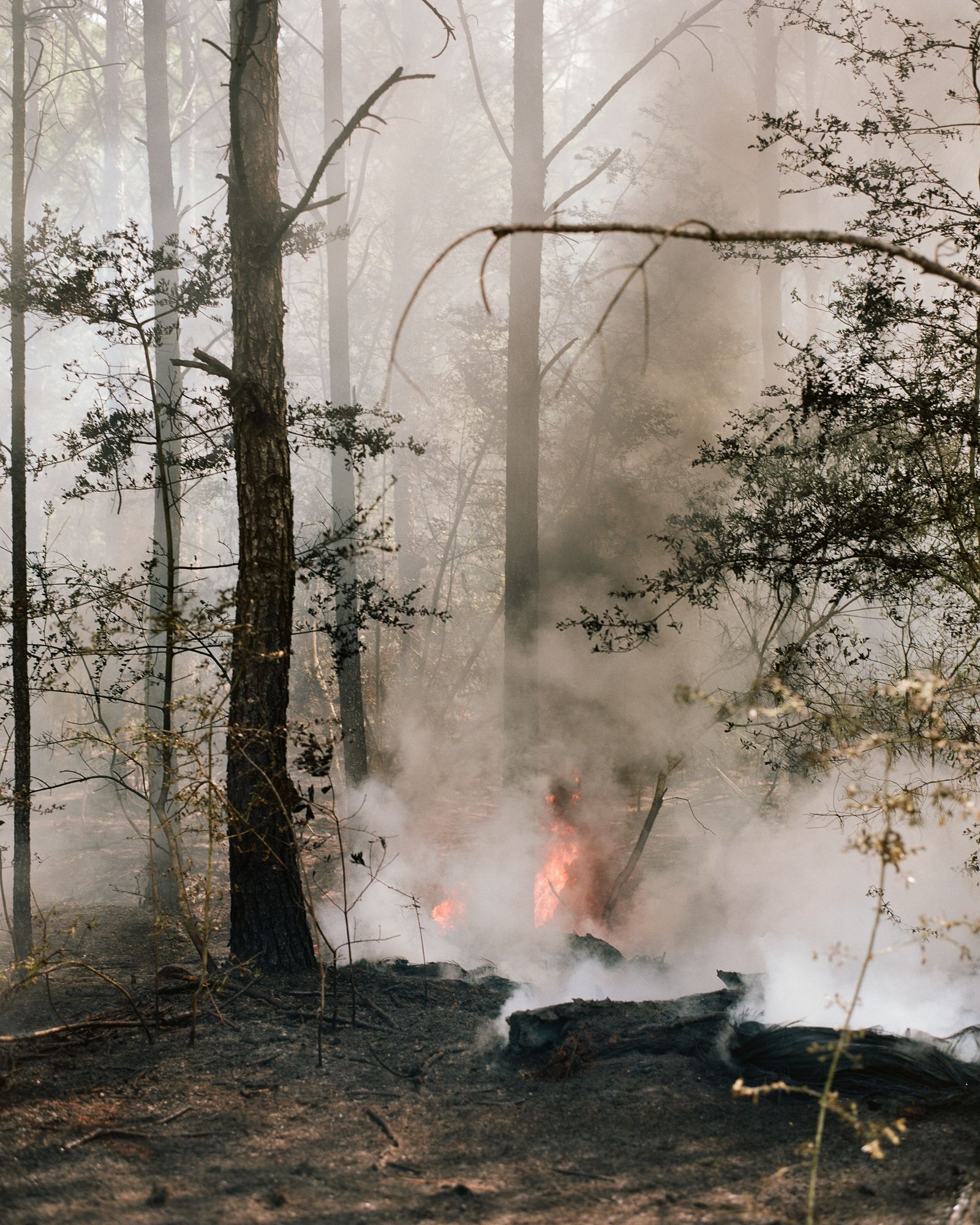 © Camille Farrah Lenain - A forest fire in Mississippi, March 2021.