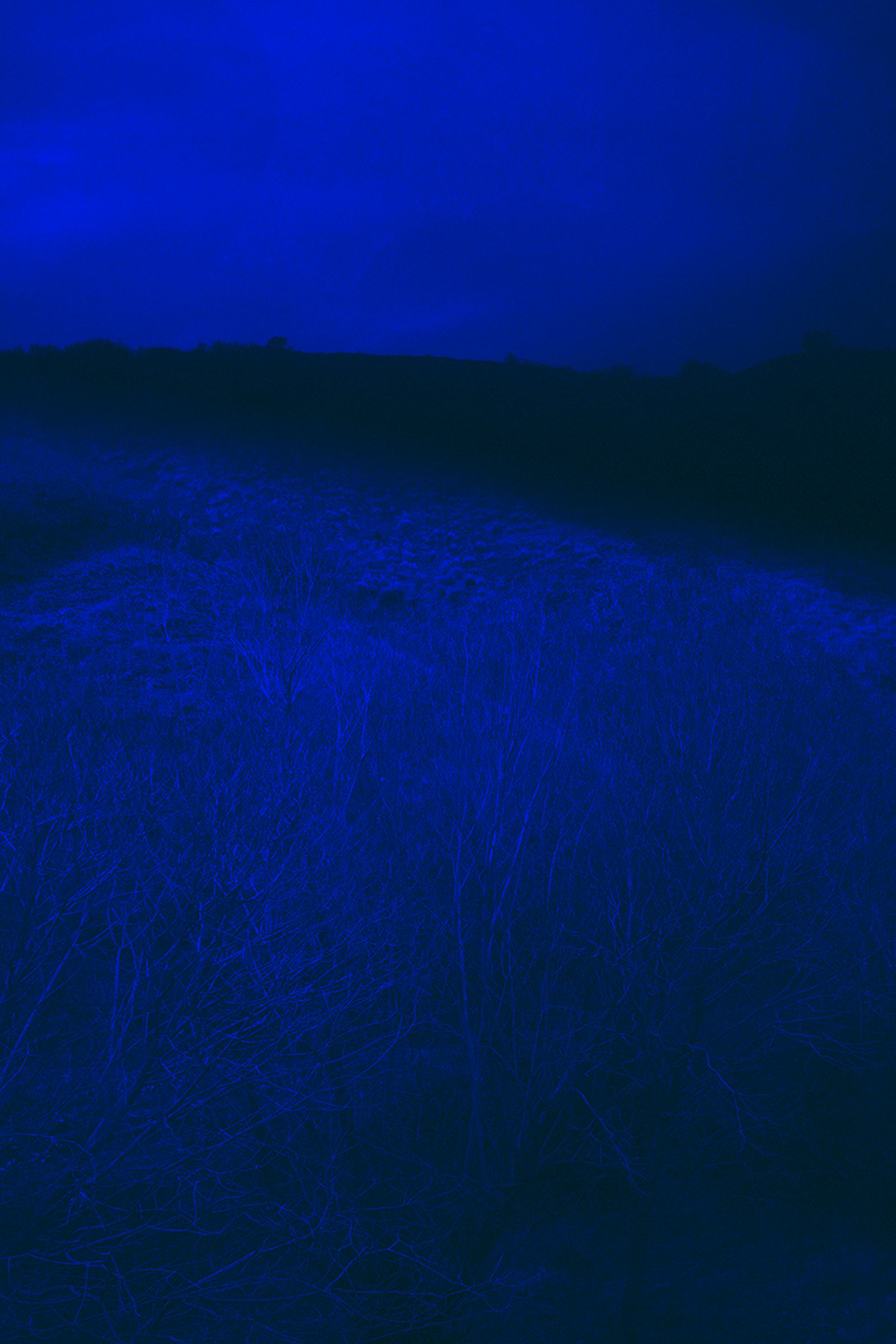© Merve Terzi - Image from the it flies, invisible - 2019 photography project