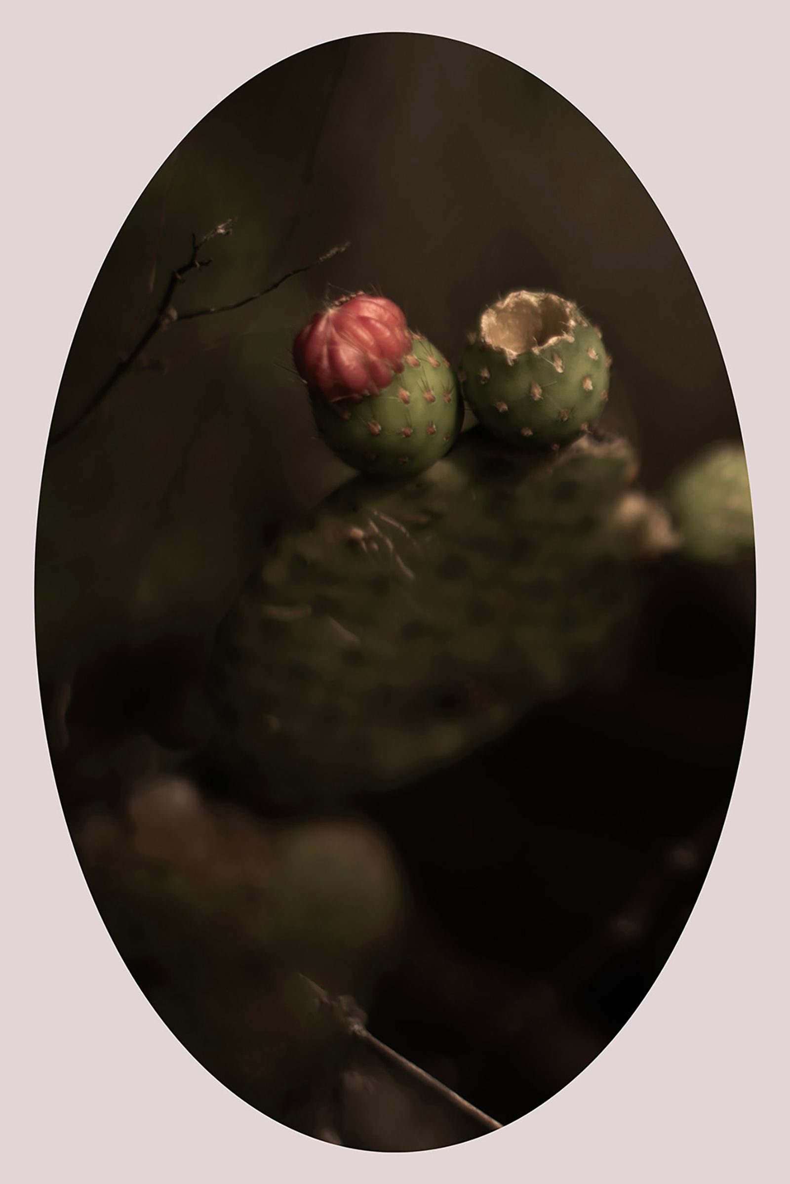 © Ana Leal - Image from the Chão de Histórias photography project