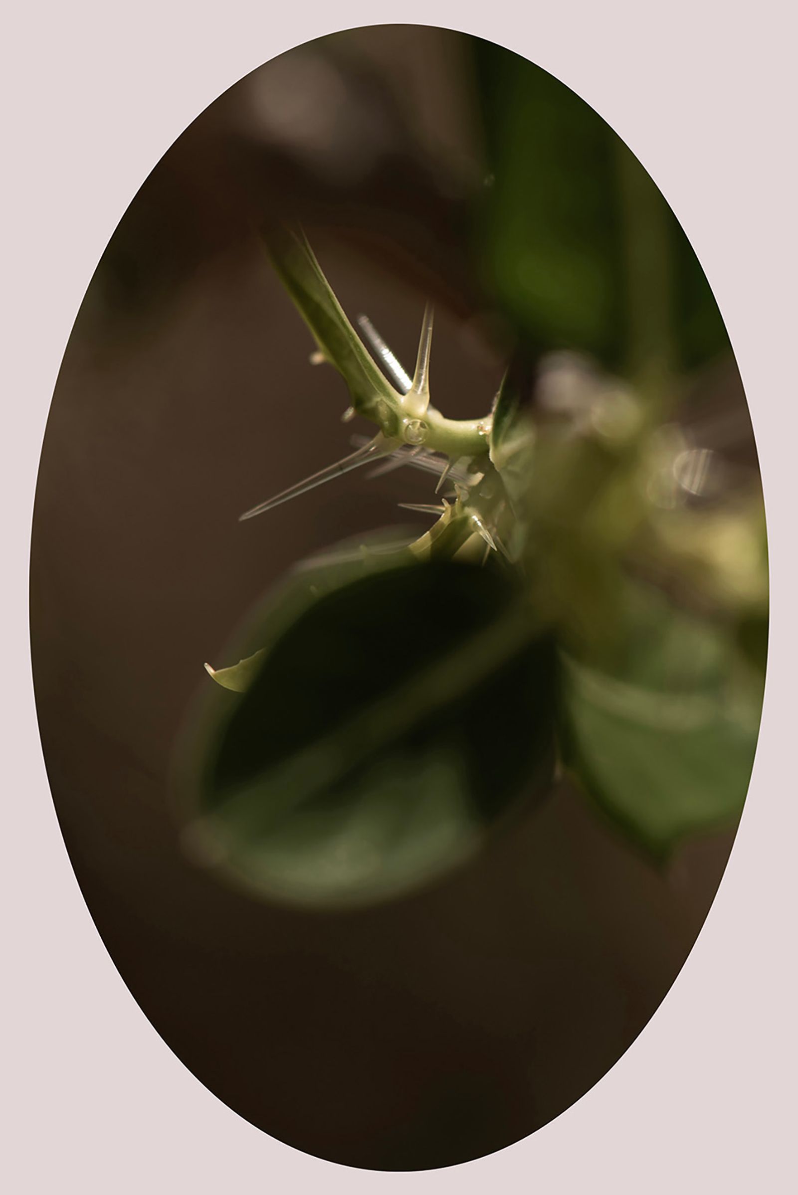 © Ana Leal - Image from the Chão de Histórias photography project