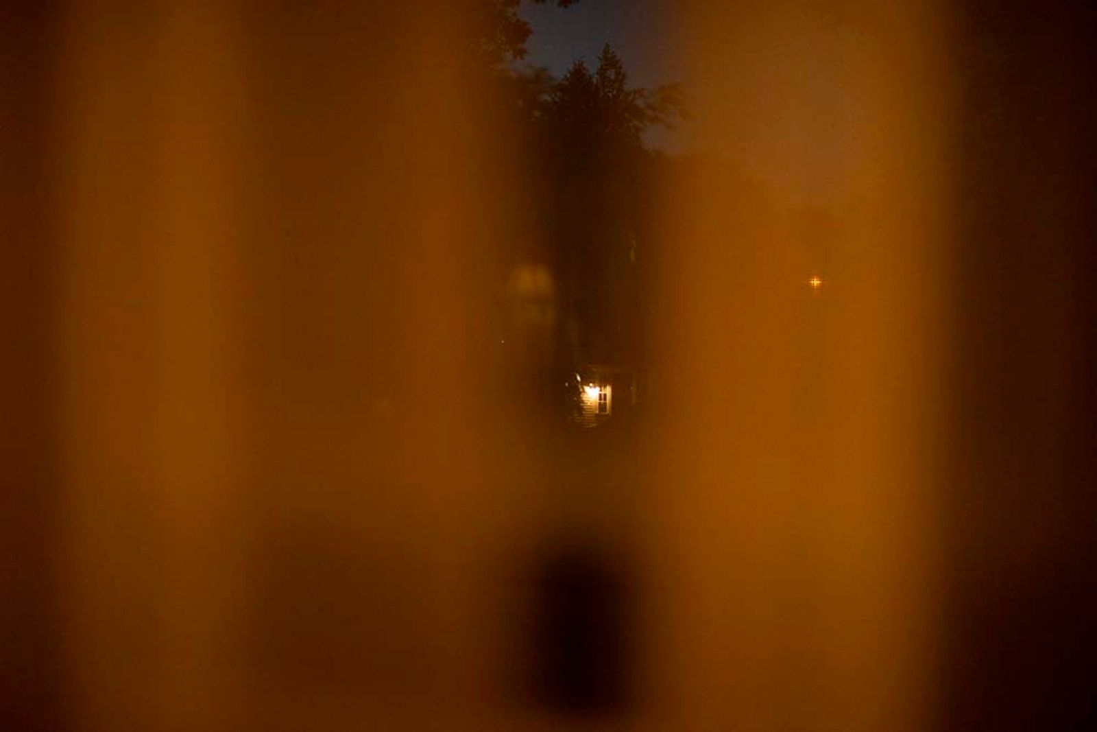 © Ana Leal - Through the window