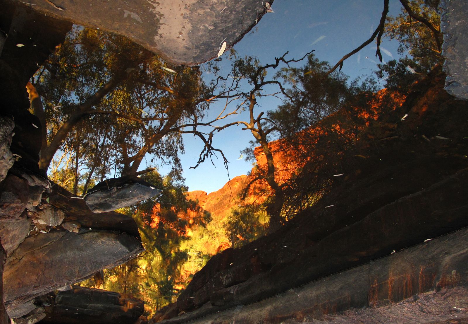 © Cristina Erdmann - "Red Canyon on the floor" Kings Canyon, Northern Territory, Australia 2010