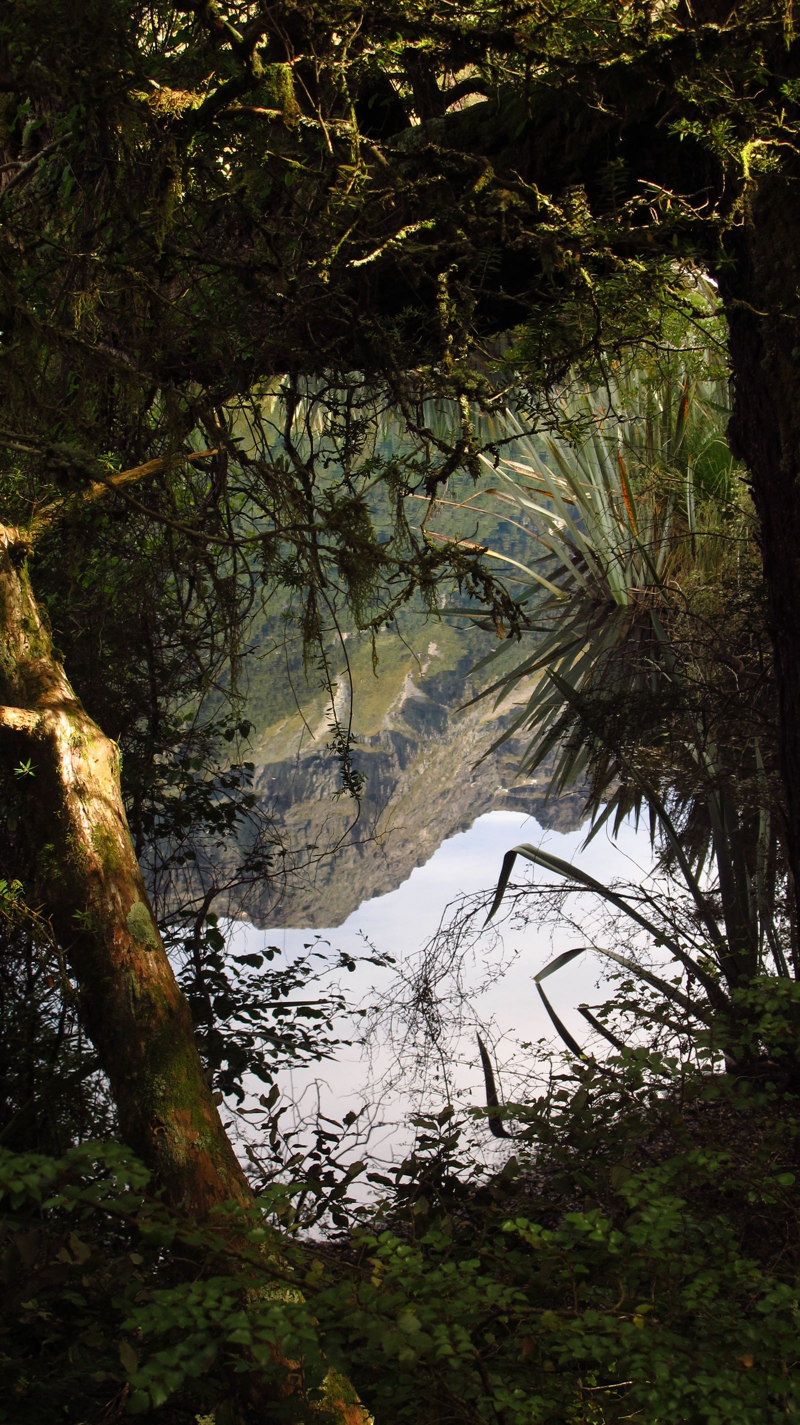 © Cristina Erdmann - "Fiords Visions" New Zealand, 2014