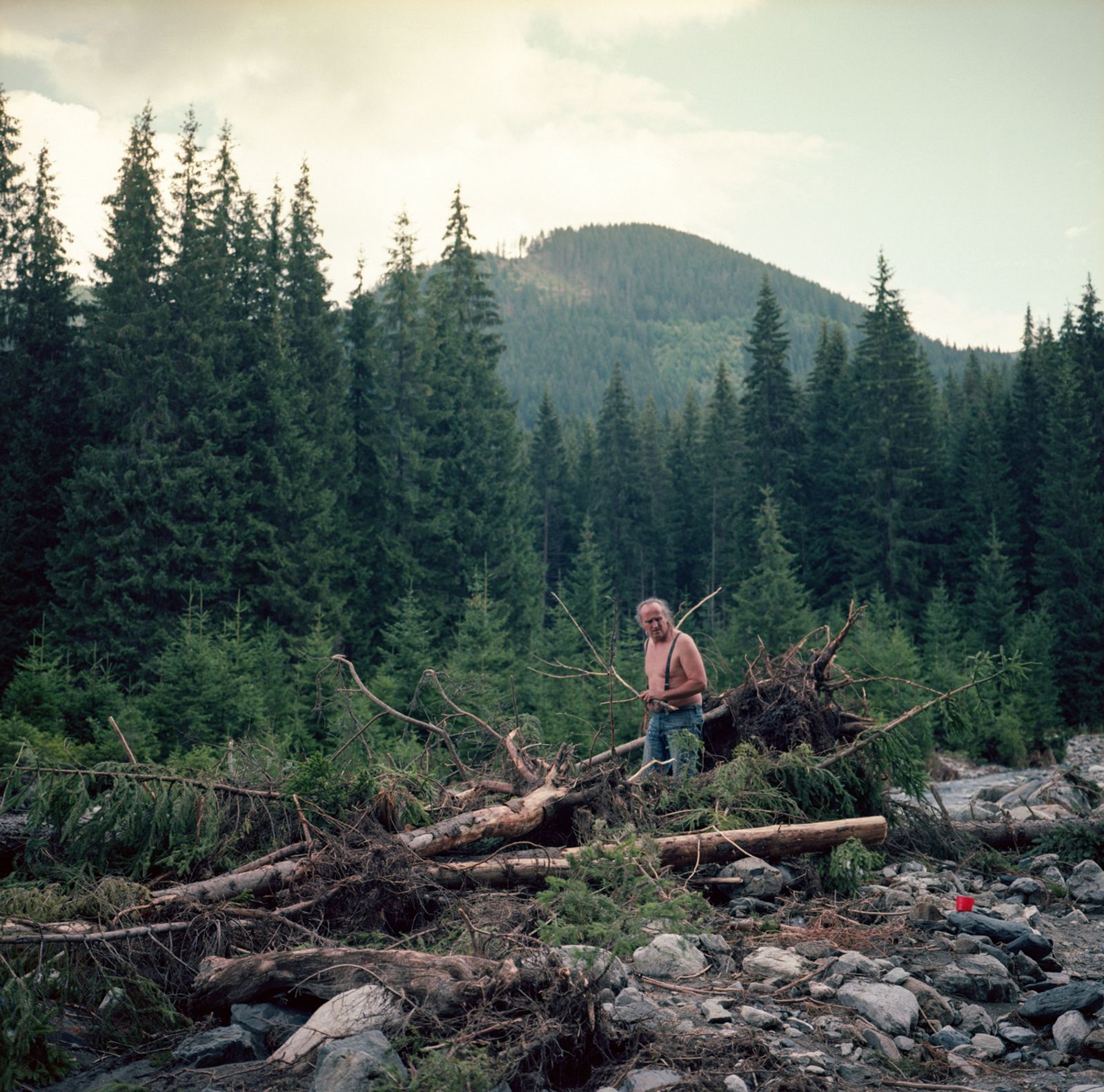 © Ioana Cirlig - Gathering firewood.