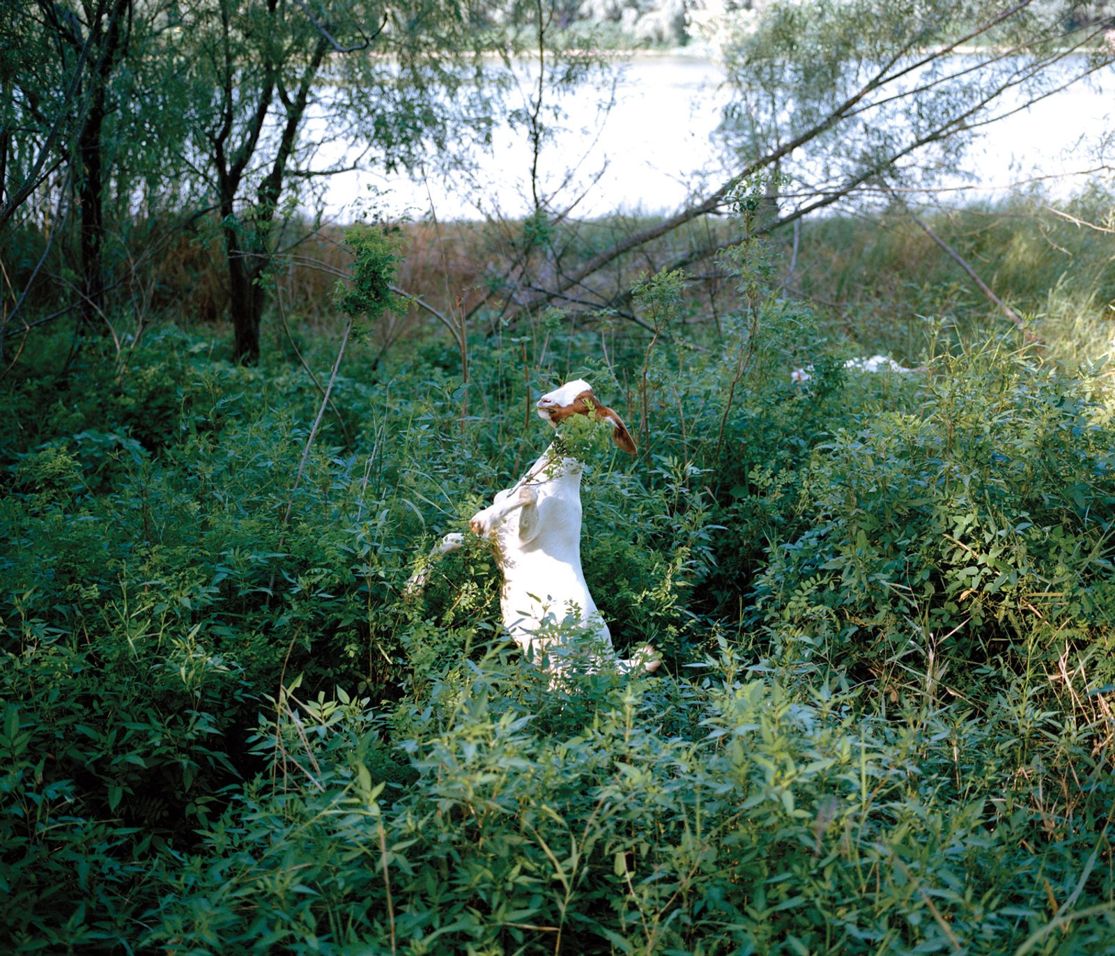 © Yangkun Shi - Image from the solastalgia photography project
