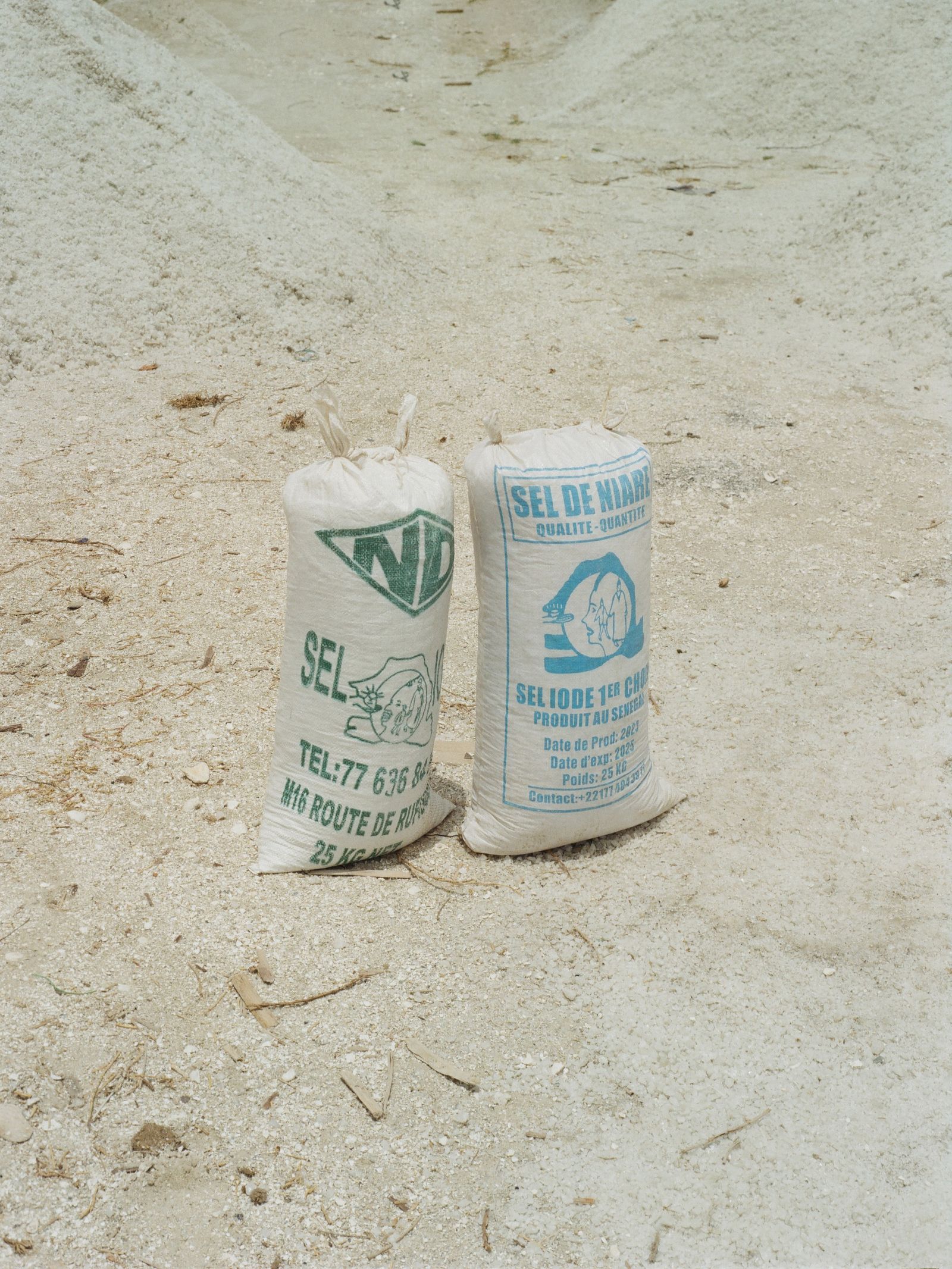 © Denisse Ariana Pérez - Image from the Rose photography project