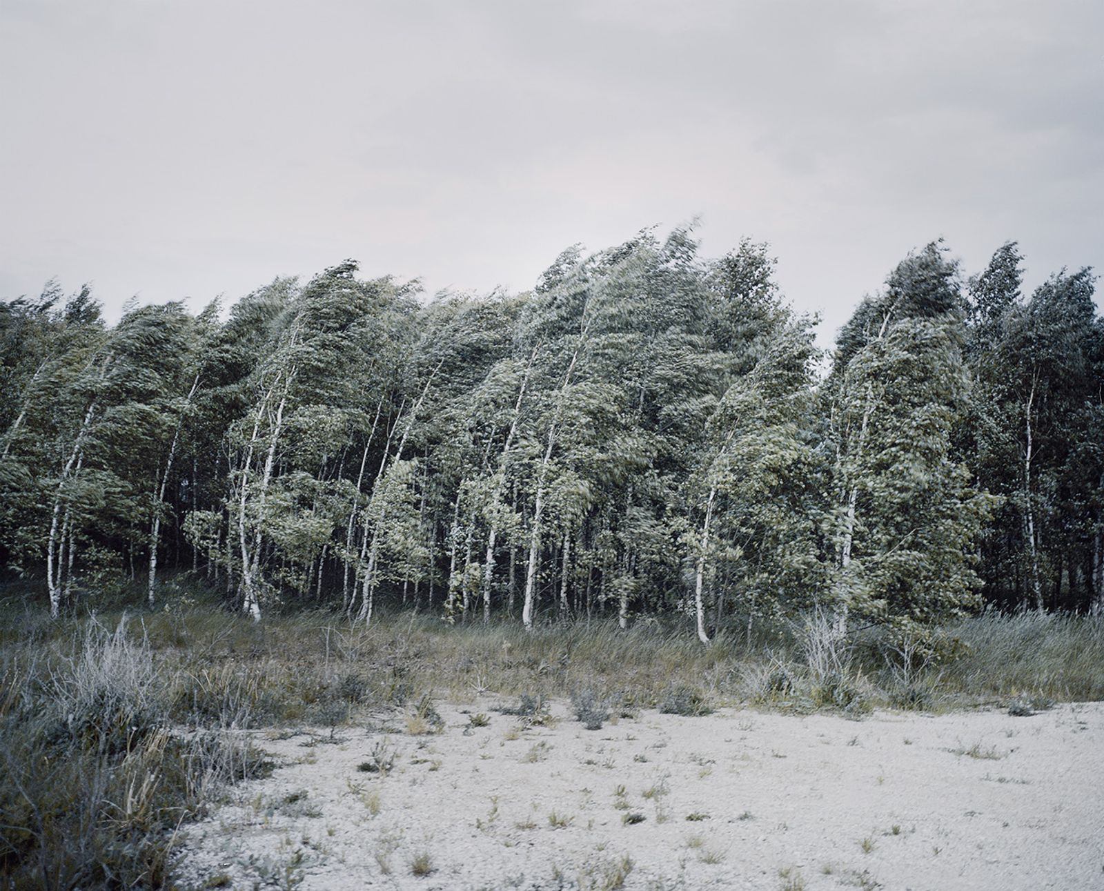 © Jasper  Bastian - Image from the A Road Not Taken photography project