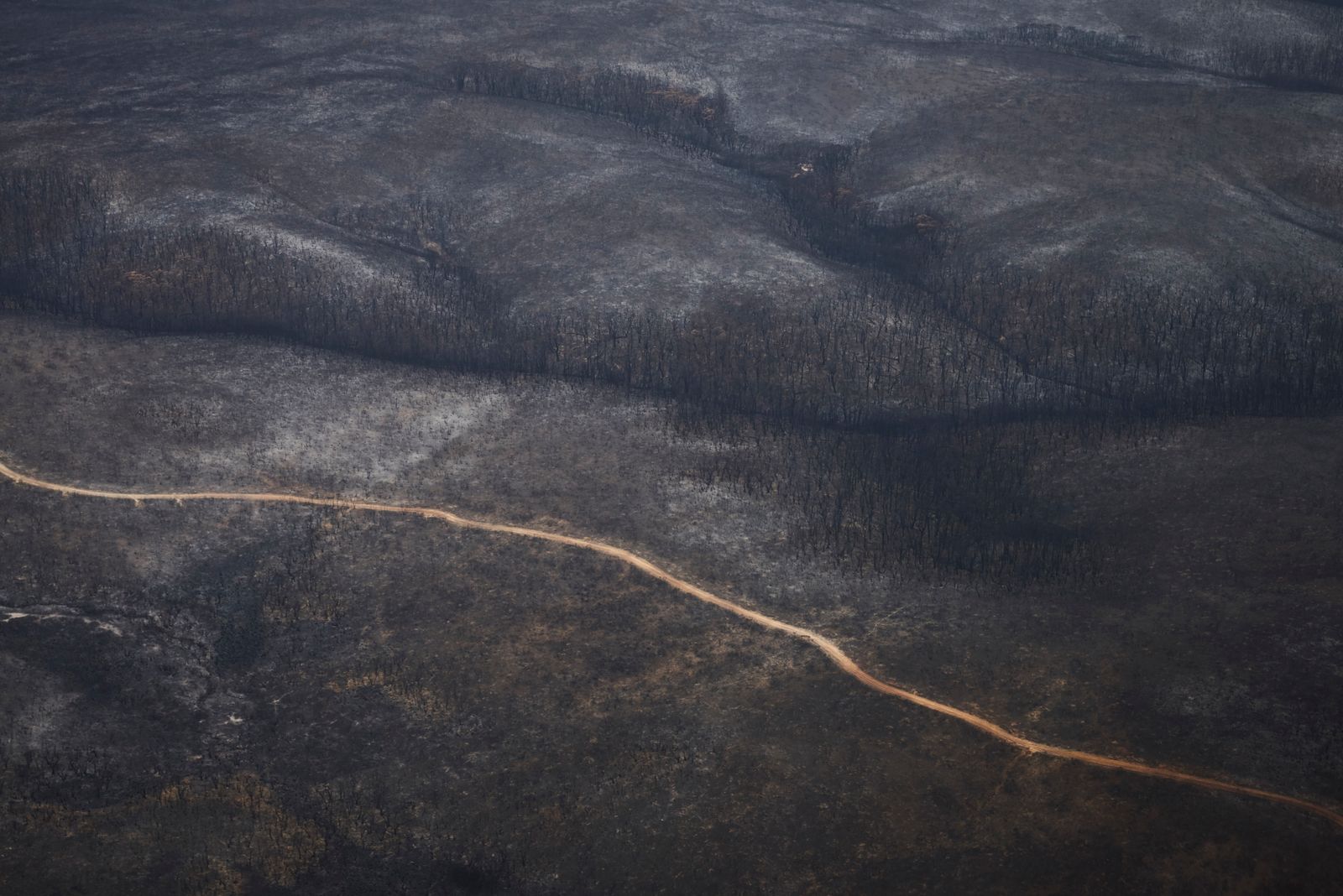 © Christina Simons - Image from the Australian Apocalypse: The Consequences of the Australian Bushfires photography project