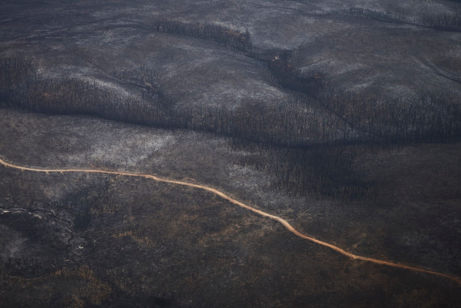 © Christina Simons - Image from the Australian Apocalypse: The Consequences of the Australian Bushfires photography project