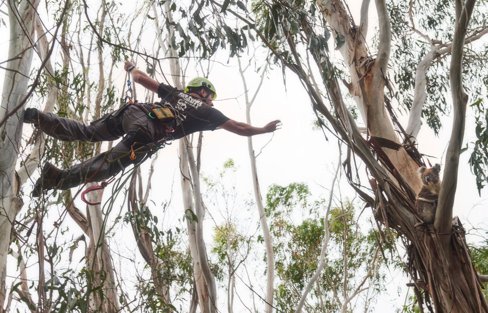 © Christina Simons - Image from the Australian Apocalypse: The Consequences of the Australian Bushfires photography project