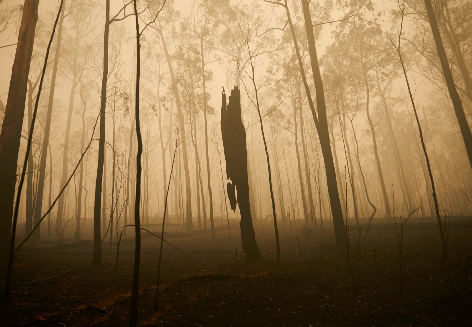 © Christina Simons - Image from the Australian Apocalypse: The Consequences of the Australian Bushfires photography project