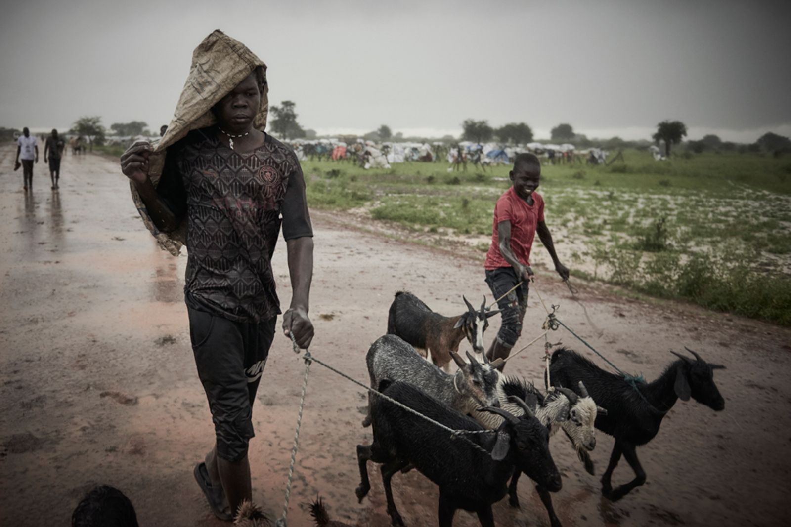 © Christina Simons - Goat herders from the IDP camp in Abyei walk home in the evening rainstorm. 26/08/2022 Abyei, South Sudan.