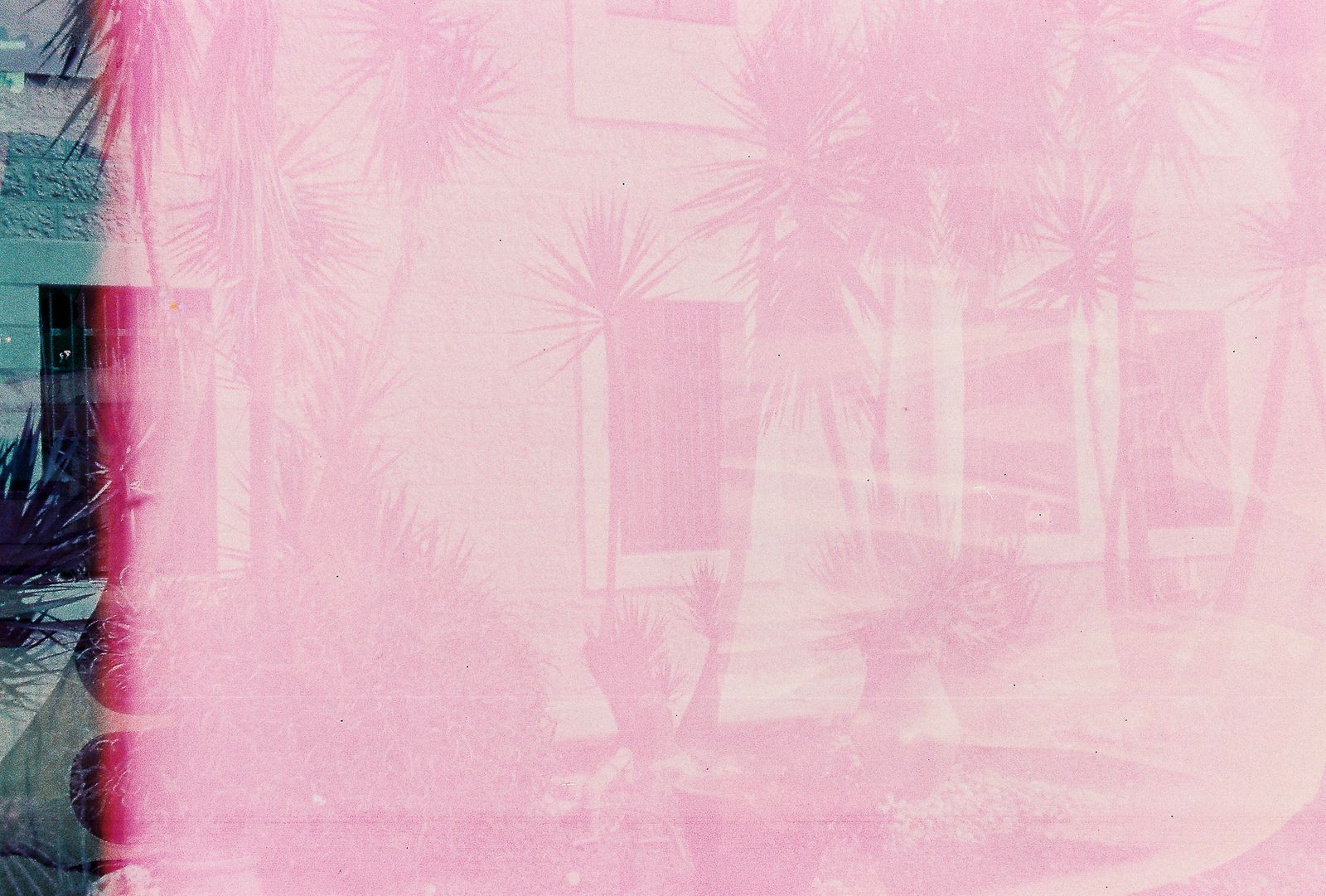 © Barbara Debeuckelaere - Image from the 'OM photography project