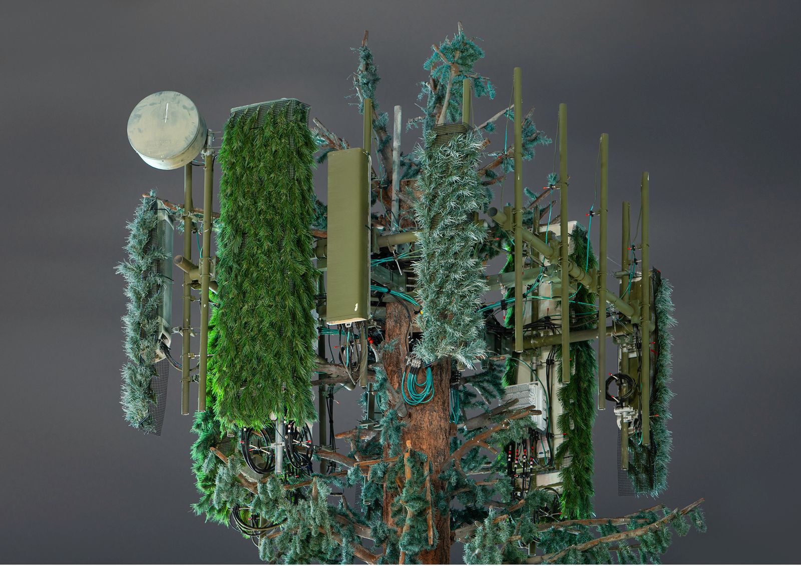 © Işık Kaya - Image from the Second Nature photography project