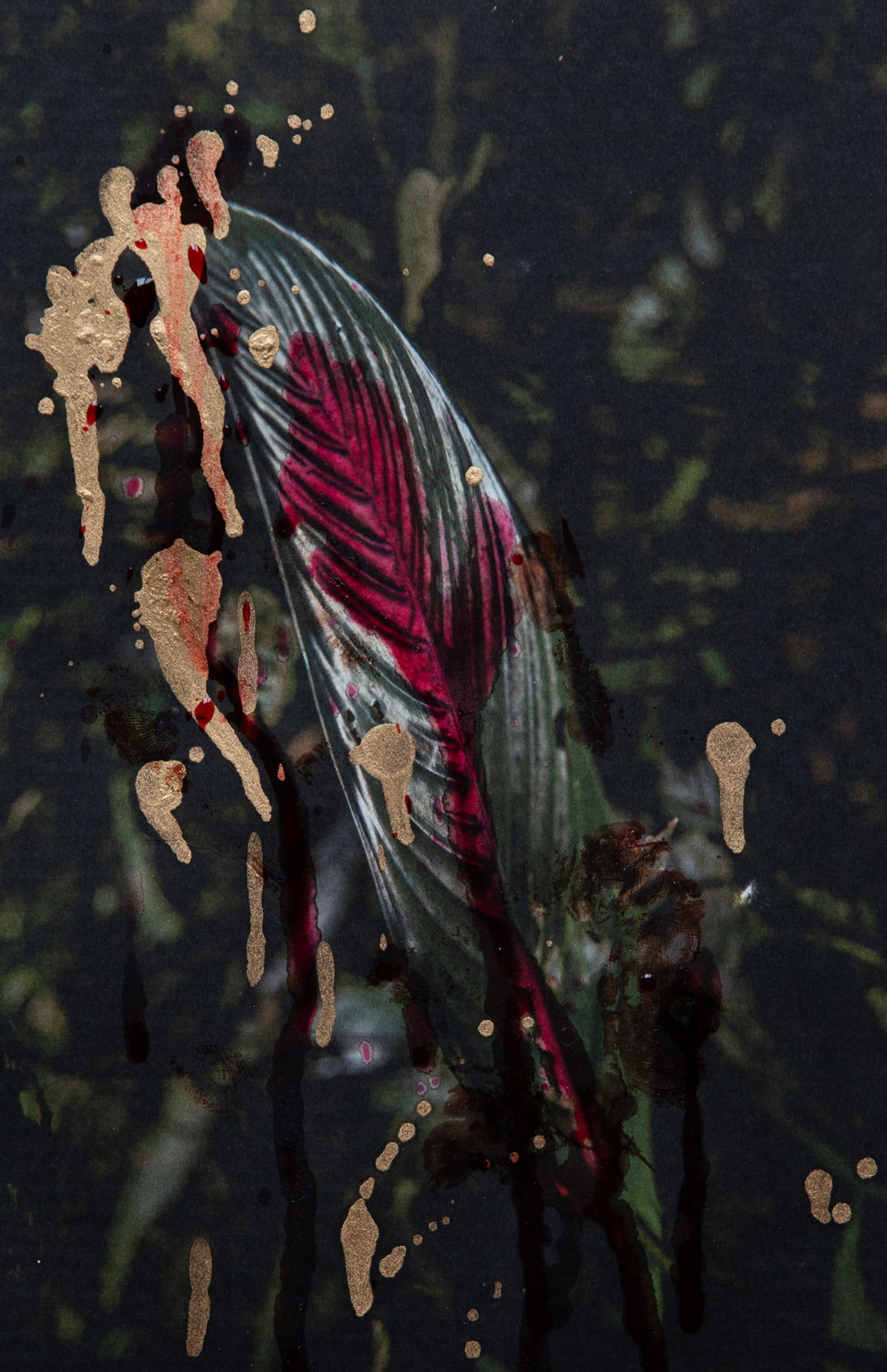 © Leticia Valverdes - Image from the #prayforamazonia photography project