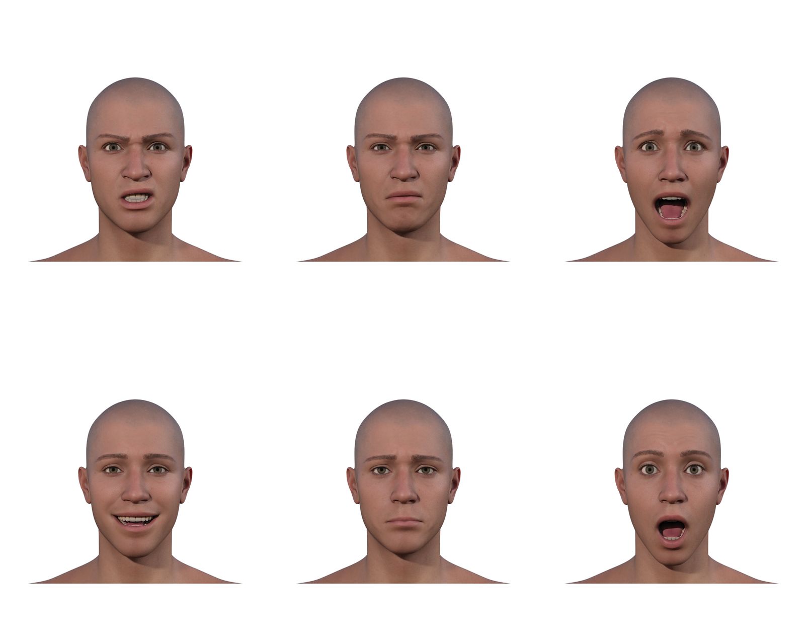 © Marcel Top - 3D models of facial emotion expression