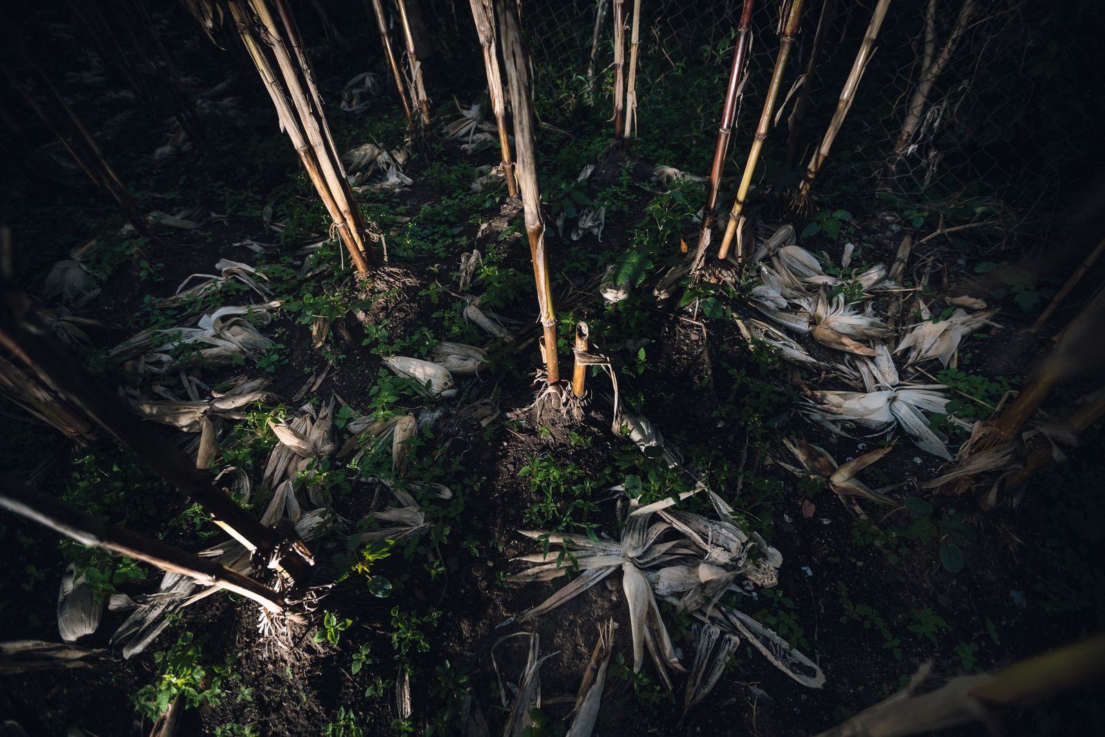 © Desyree Valdiviezo - Image from the El primer llanto photography project
