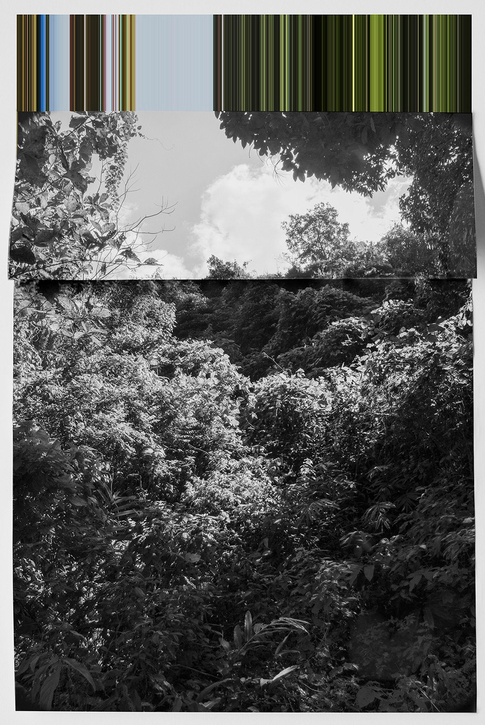 © andrea alkalay - Landscape on Landscape Cod_38471D