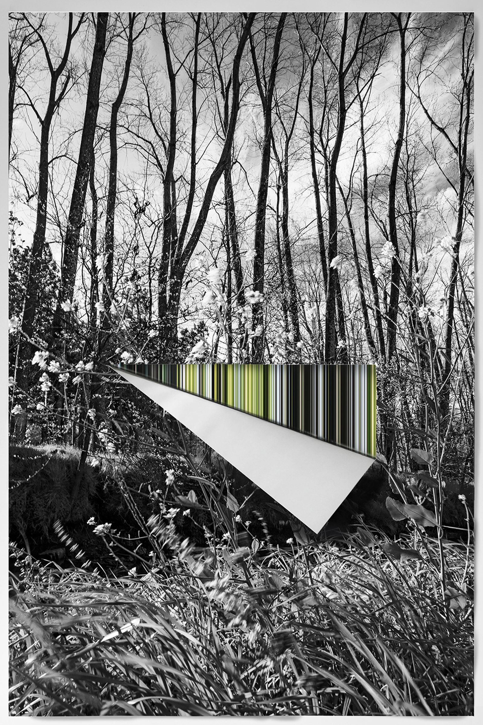 © andrea alkalay - Landscape on Landscape Cod_DDF954