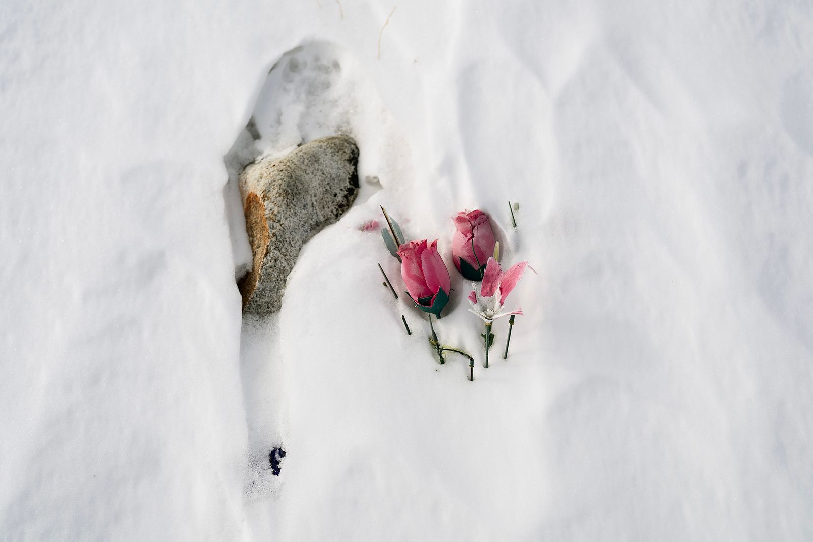 © Claire Eggers - Image from the Beneath the Surface photography project
