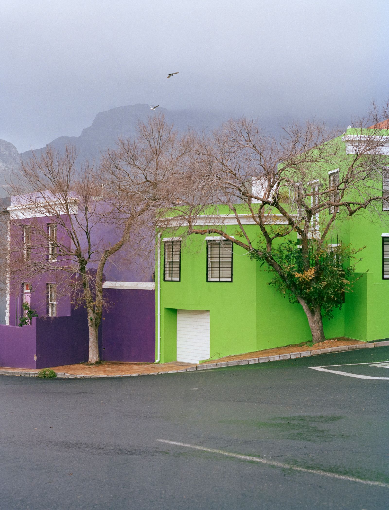 © Ayesha Kazim - Image from the The Bo Kaap Project photography project